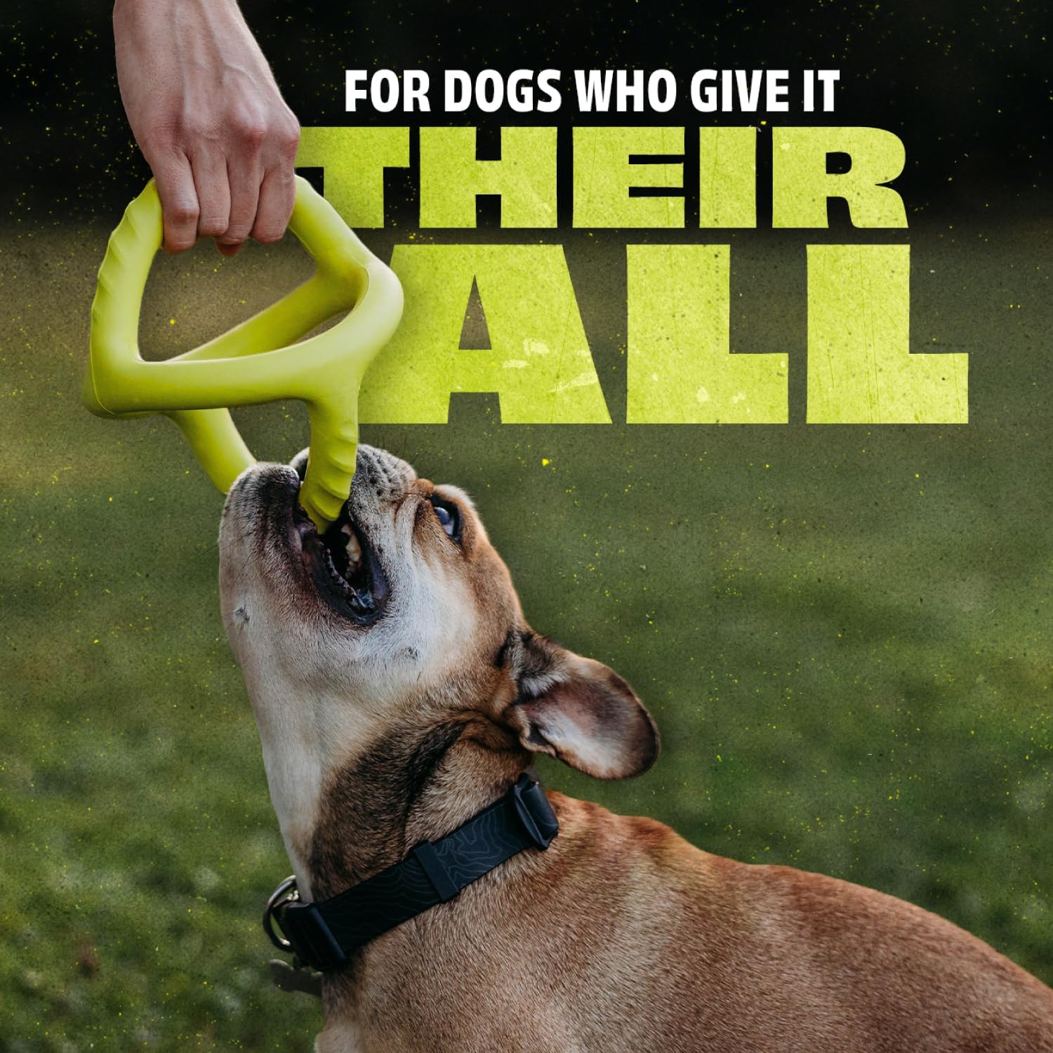 Benebone Natural Rubber Tug Dog Toy
