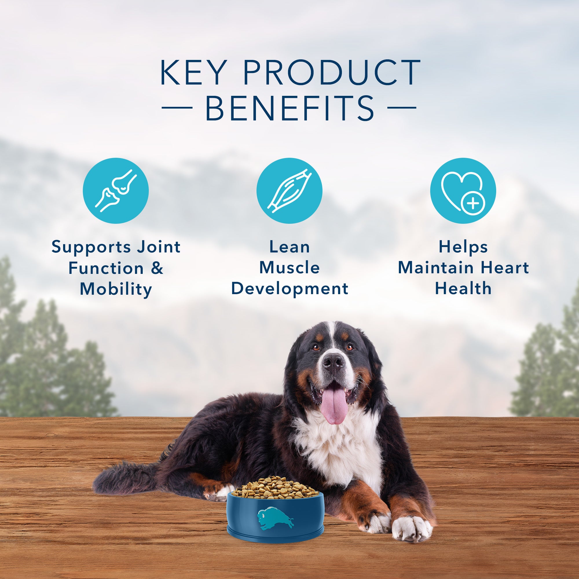 Blue Buffalo Wilderness Dog Food Large Breed Salmon - Image 5 - Blue Buffalo - PetMax Canada