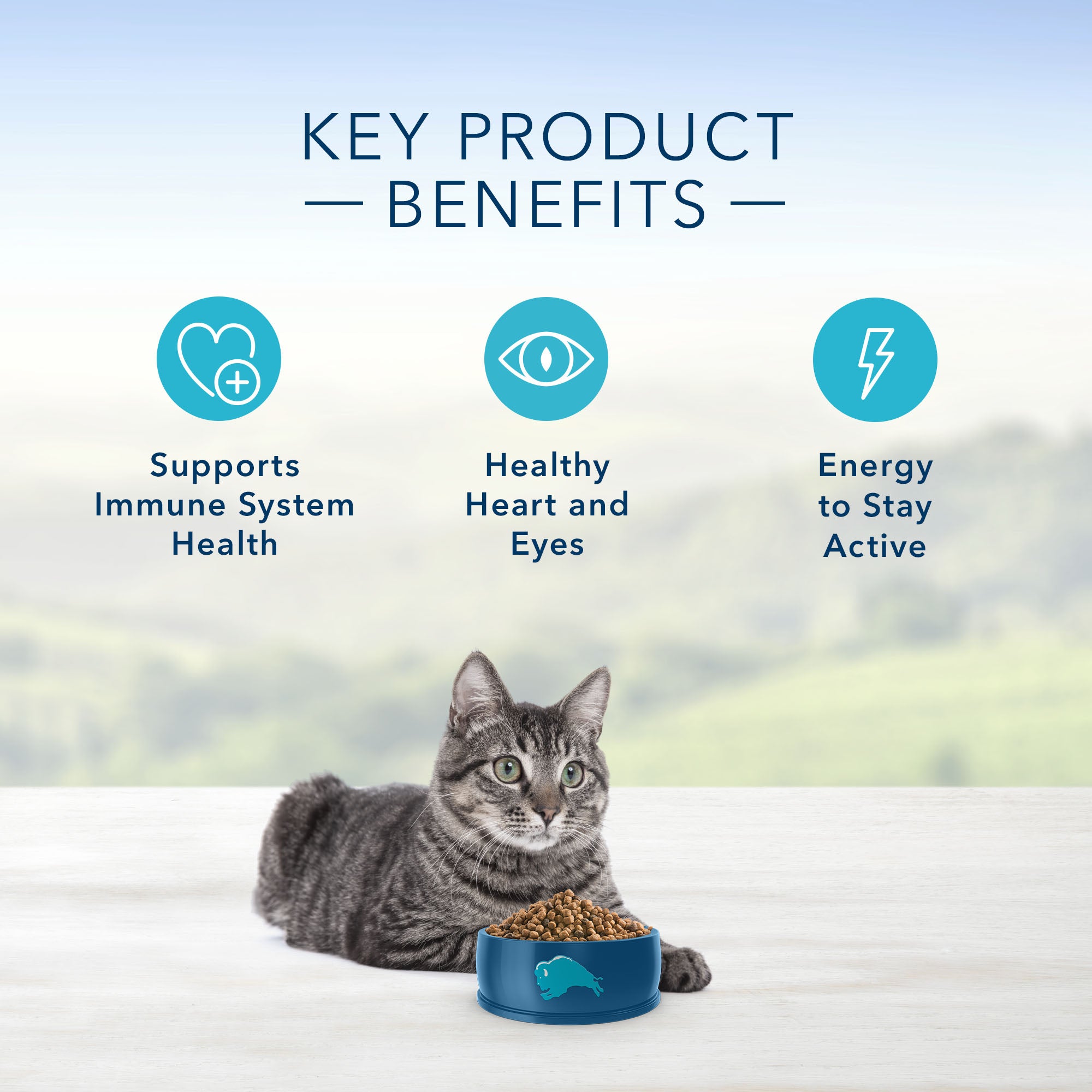 Blue Buffalo Tastefuls Natural Chicken Adult 7+ Dry Cat Food - Image 4 - Blue Buffalo - PetMax Canada