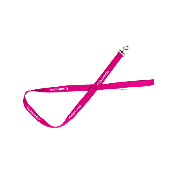 Eukanuba Dog Leash - Pink / 4' - Dog Leash - Eukanuba - PetMax Canada