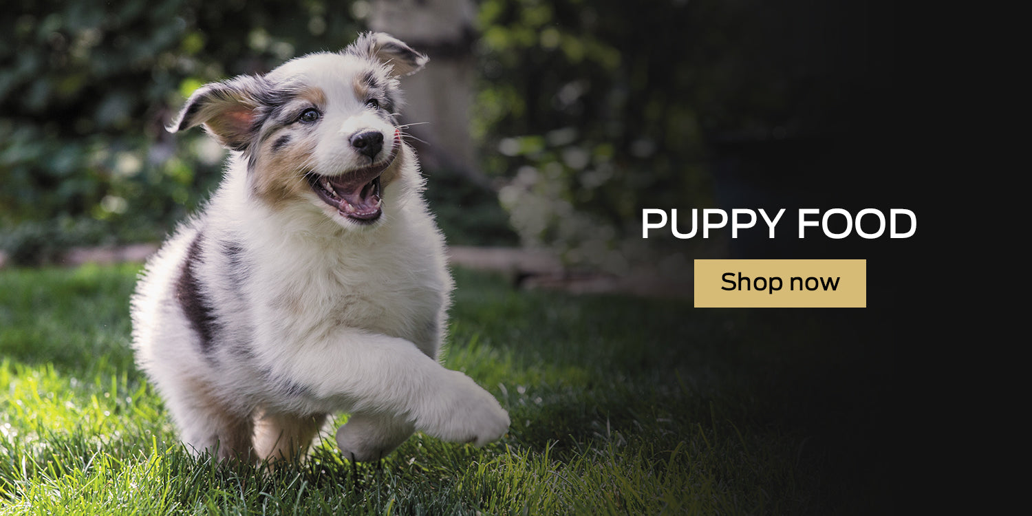 Buy Pro Plan Puppy Food Online in Canada at PetMax.ca
