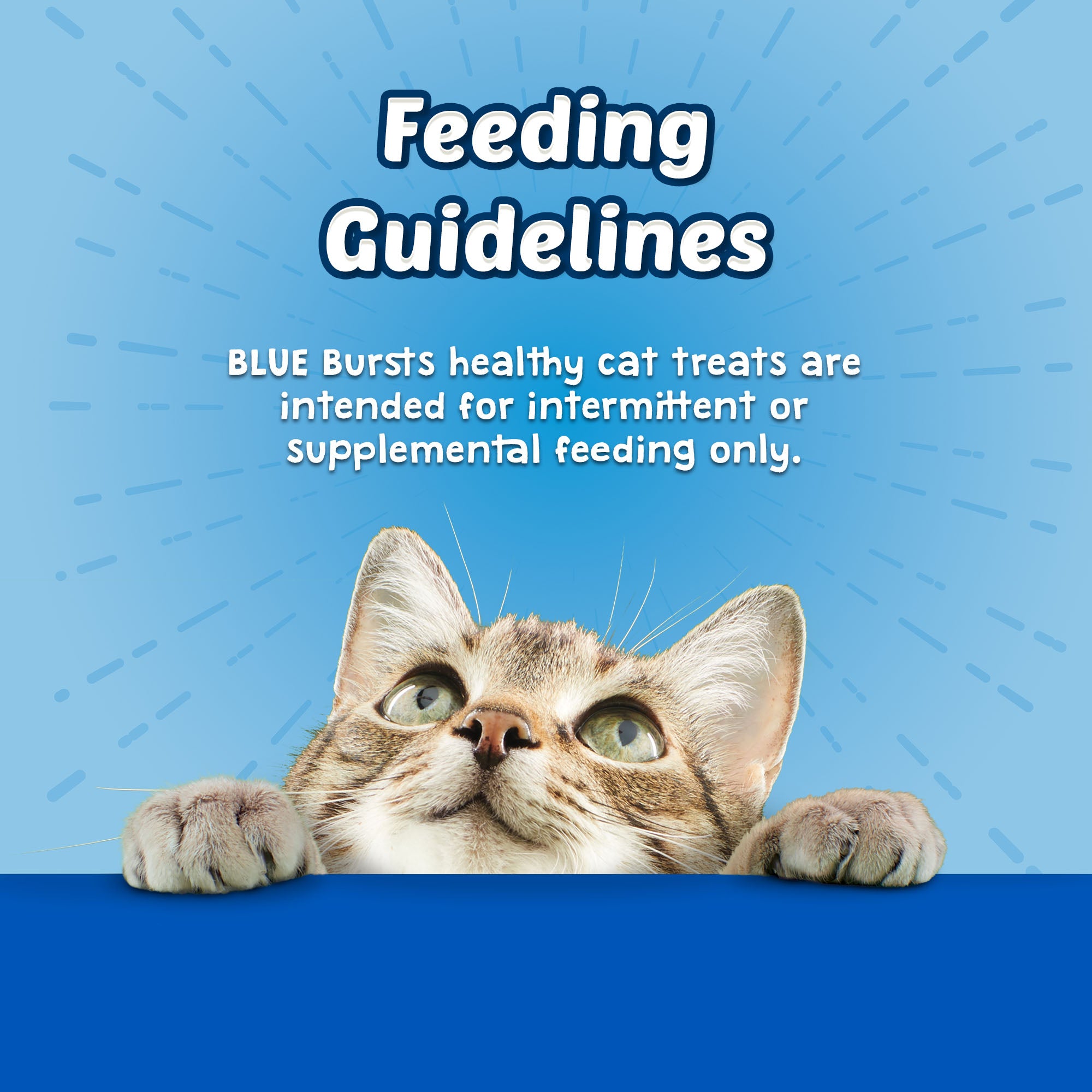 Blue Buffalo Bursts Crunchy Cat Treats Chicken Flavour - Image 6 - Blue Buffalo - PetMax Canada