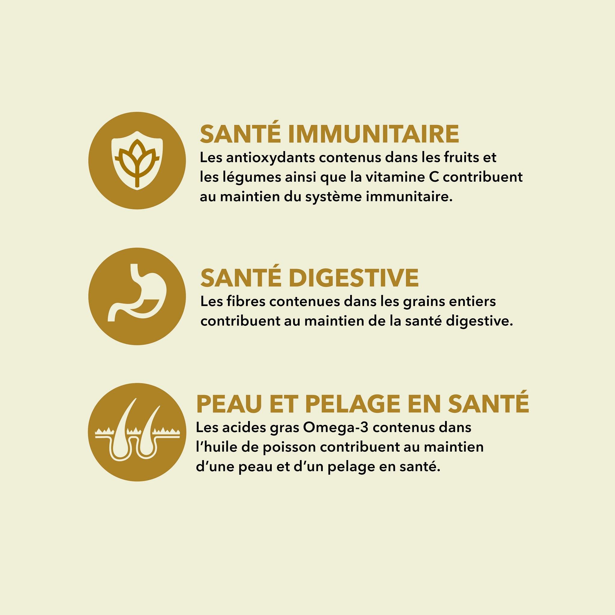 Acana Classics Prairie Poultry Recipe - 2 Kg - Dog Food - Acana - PetMax Canada