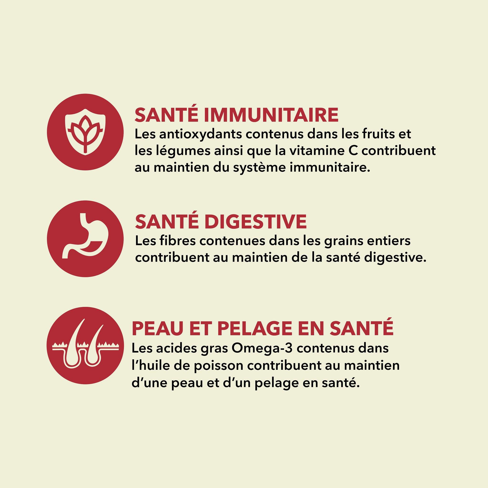 Acana Classics Classic Red Meat Recipe - 2 Kg - Dog Food - Acana - PetMax Canada