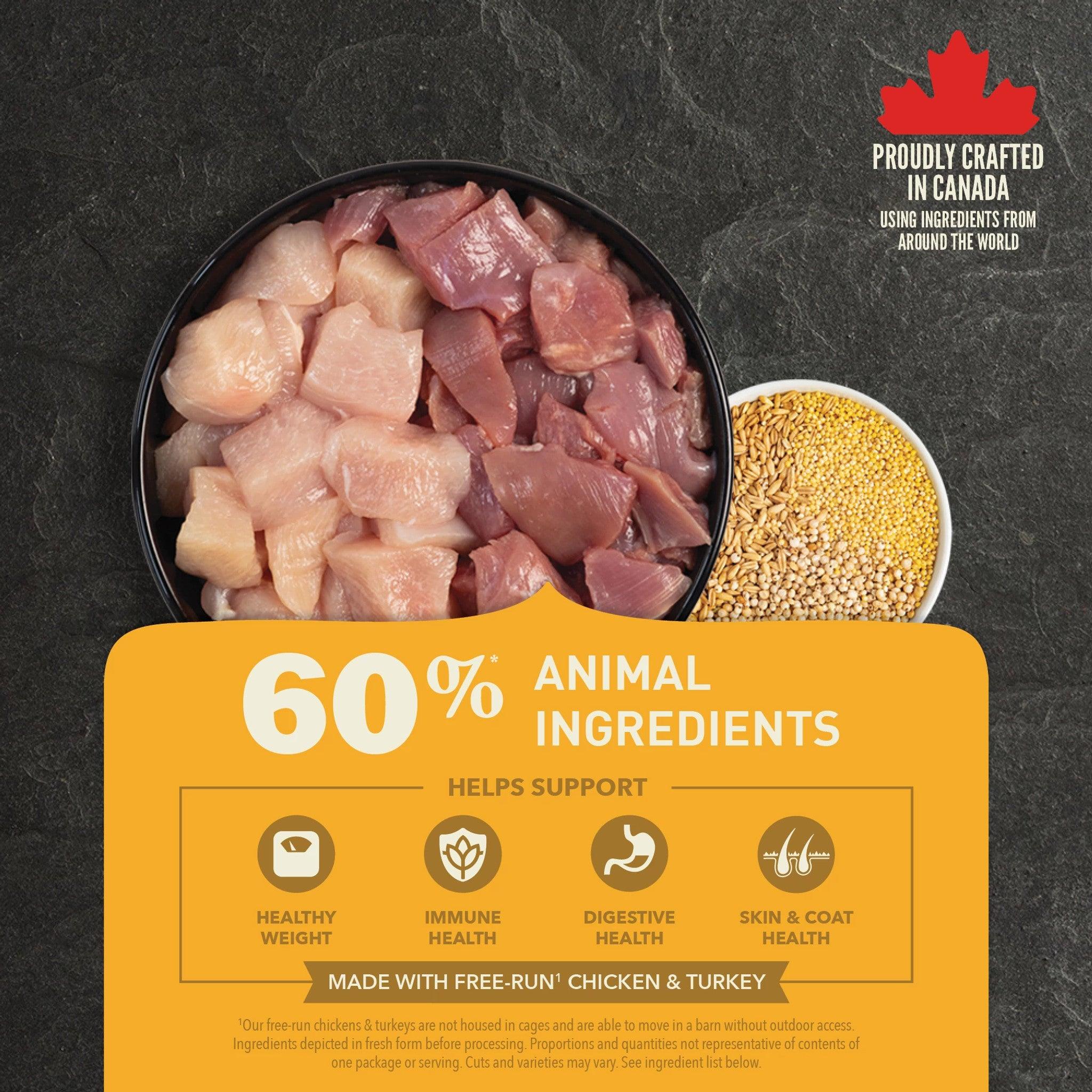 Acana Healthy Grains Free-Run Poultry Dry Dog Food Recipe - 1.8 Kg - Dog Food - Acana - PetMax Canada