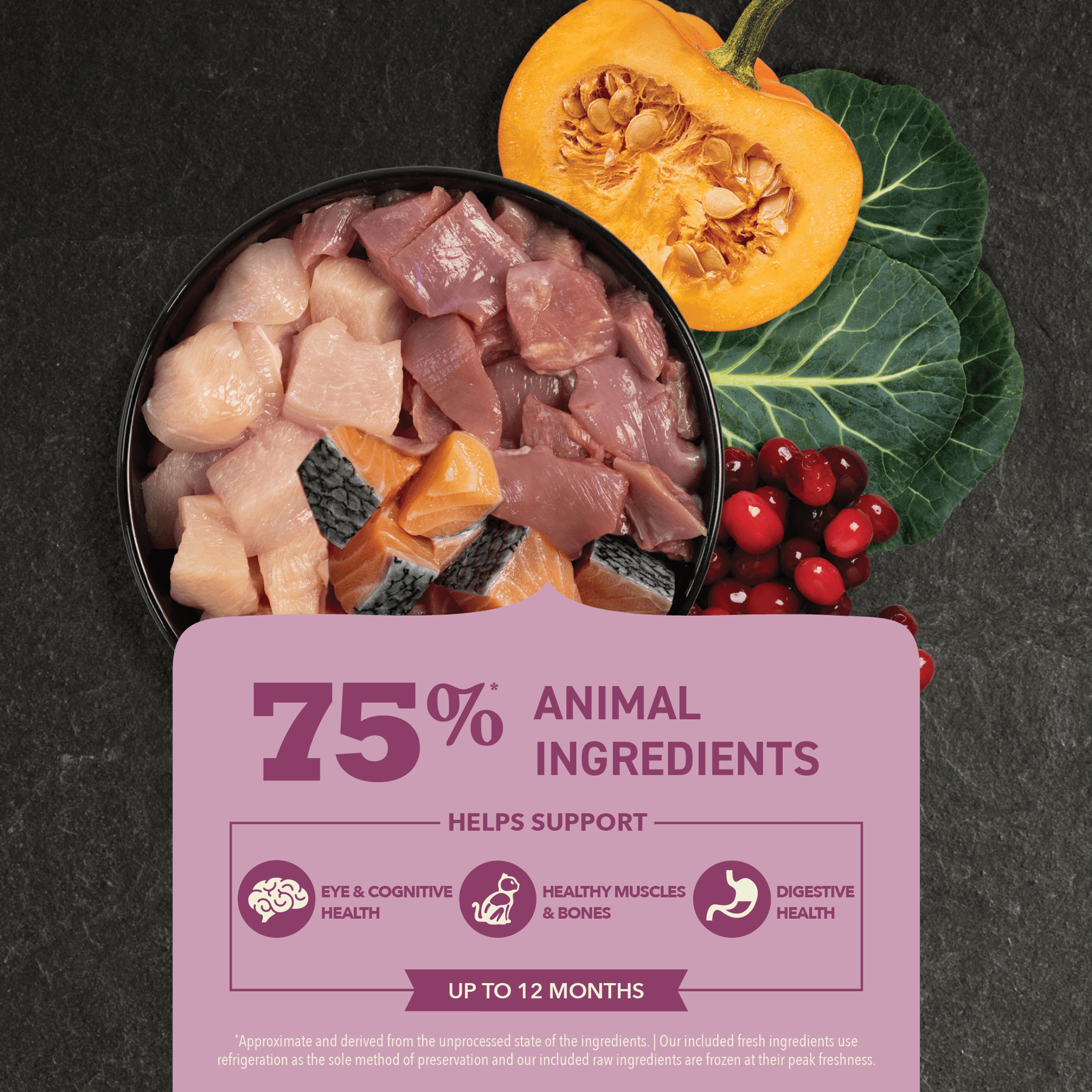 Acana Premium Kitten First Feast Recipe - 1.8 Kg - Cat Food - Acana - PetMax Canada