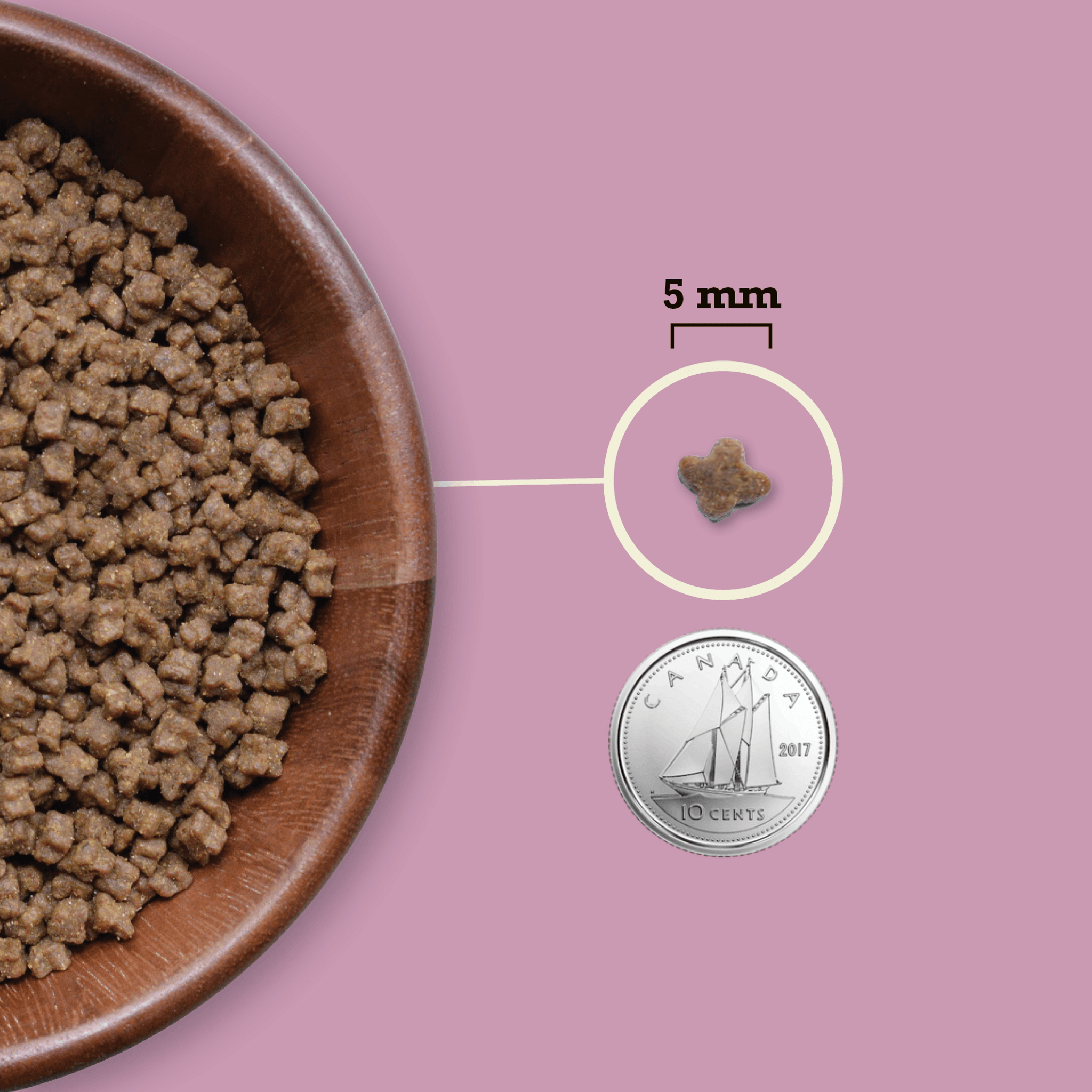 Acana Premium Kitten First Feast Recipe - 1.8 Kg - Cat Food - Acana - PetMax Canada