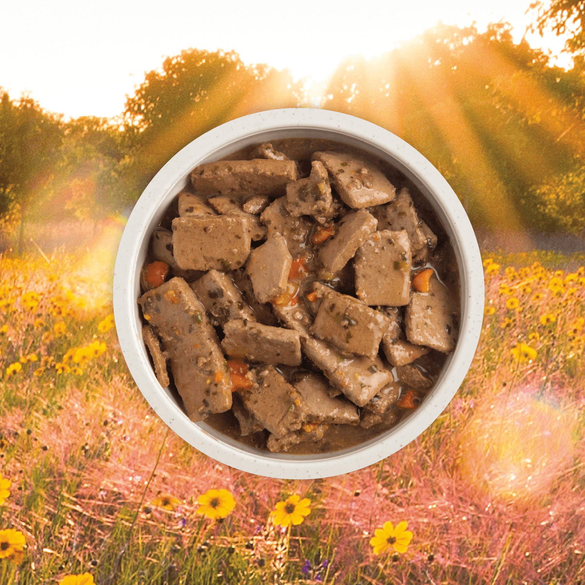 Acana Wet Dog Food Beef Recipe In Bone Broth - 363g - Canned Dog Food - Acana - PetMax Canada