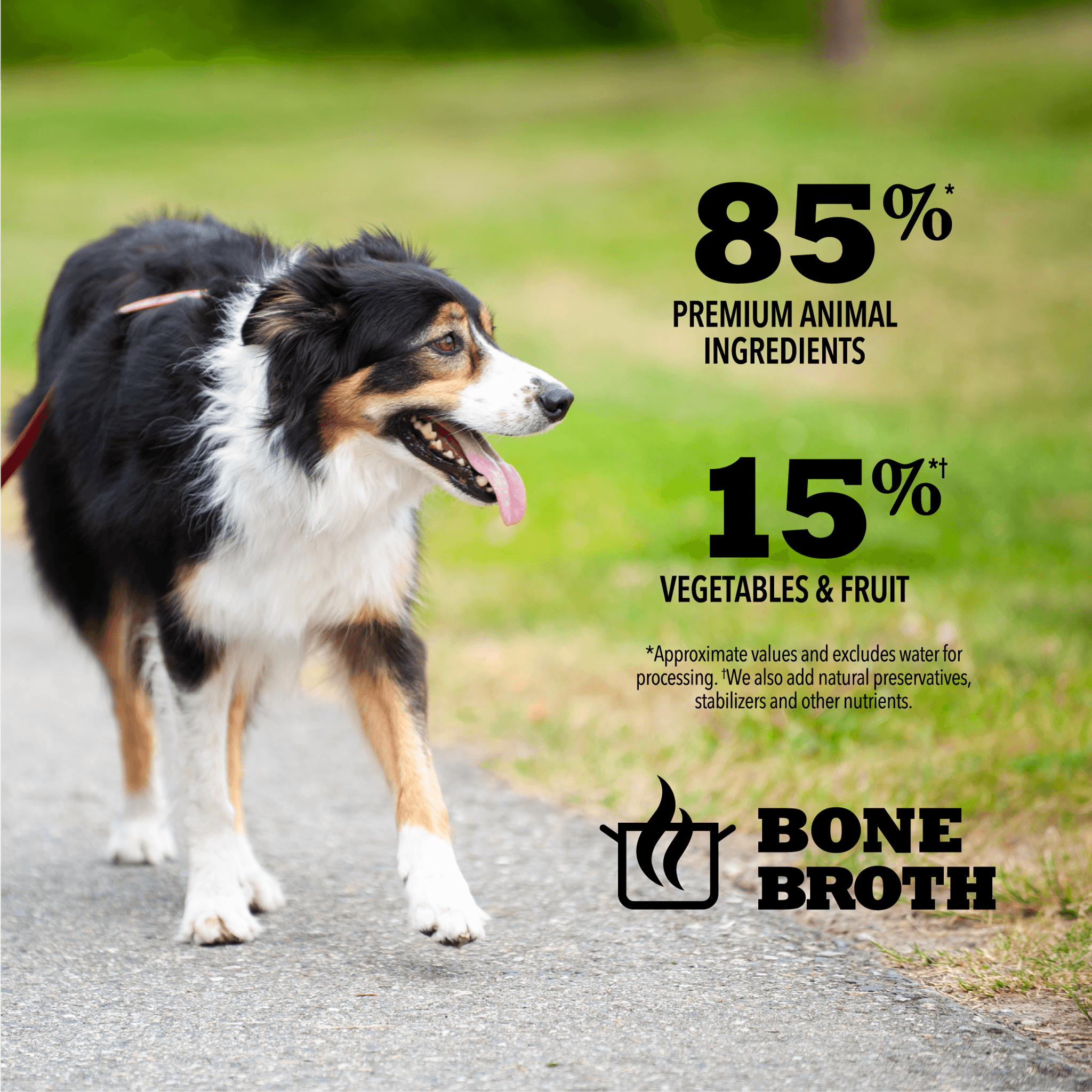 Acana Wet Dog Food Beef Recipe In Bone Broth - 363g - Canned Dog Food - Acana - PetMax Canada