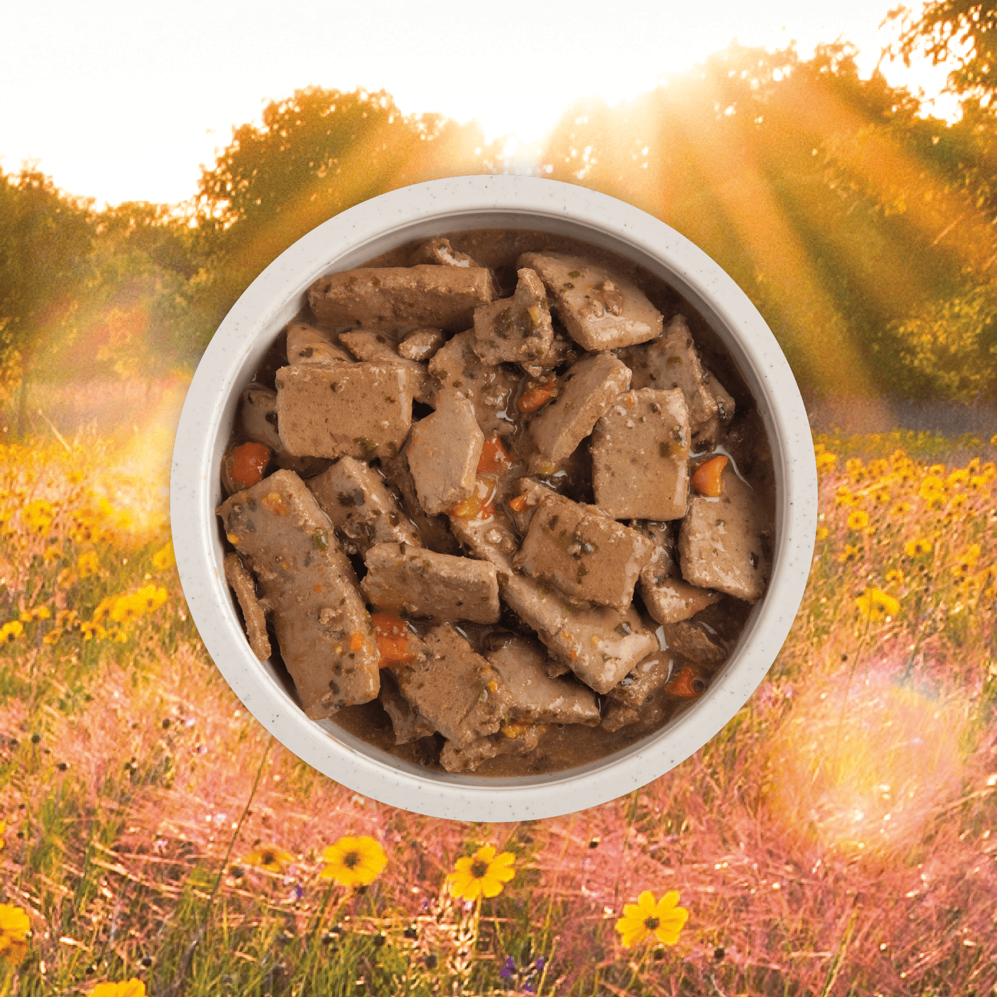 Acana Wet Dog Food Lamb Recipe In Bone Broth - 363g - Canned Dog Food - Acana - PetMax Canada