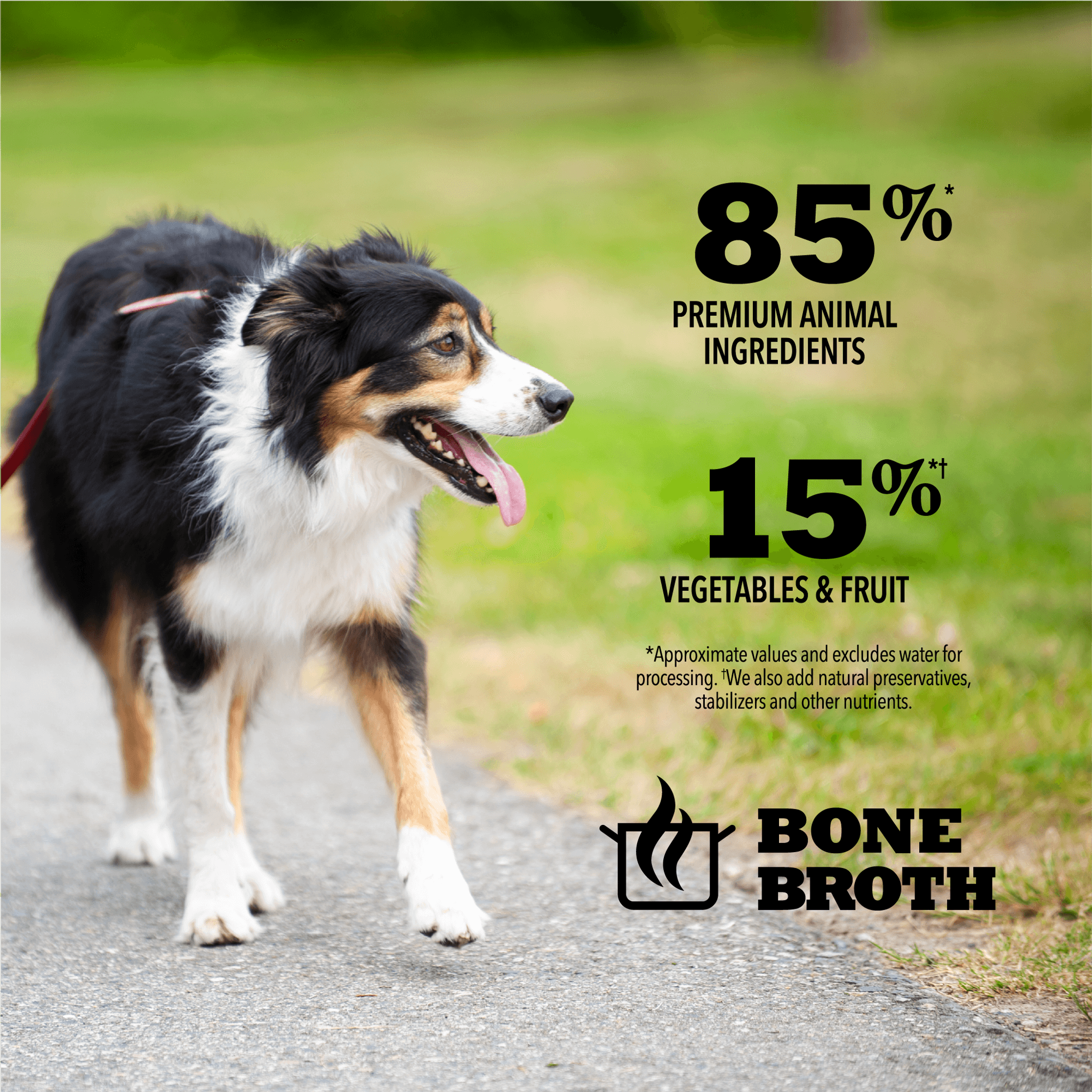 Acana Wet Dog Food Lamb Recipe In Bone Broth - 363g - Canned Dog Food - Acana - PetMax Canada