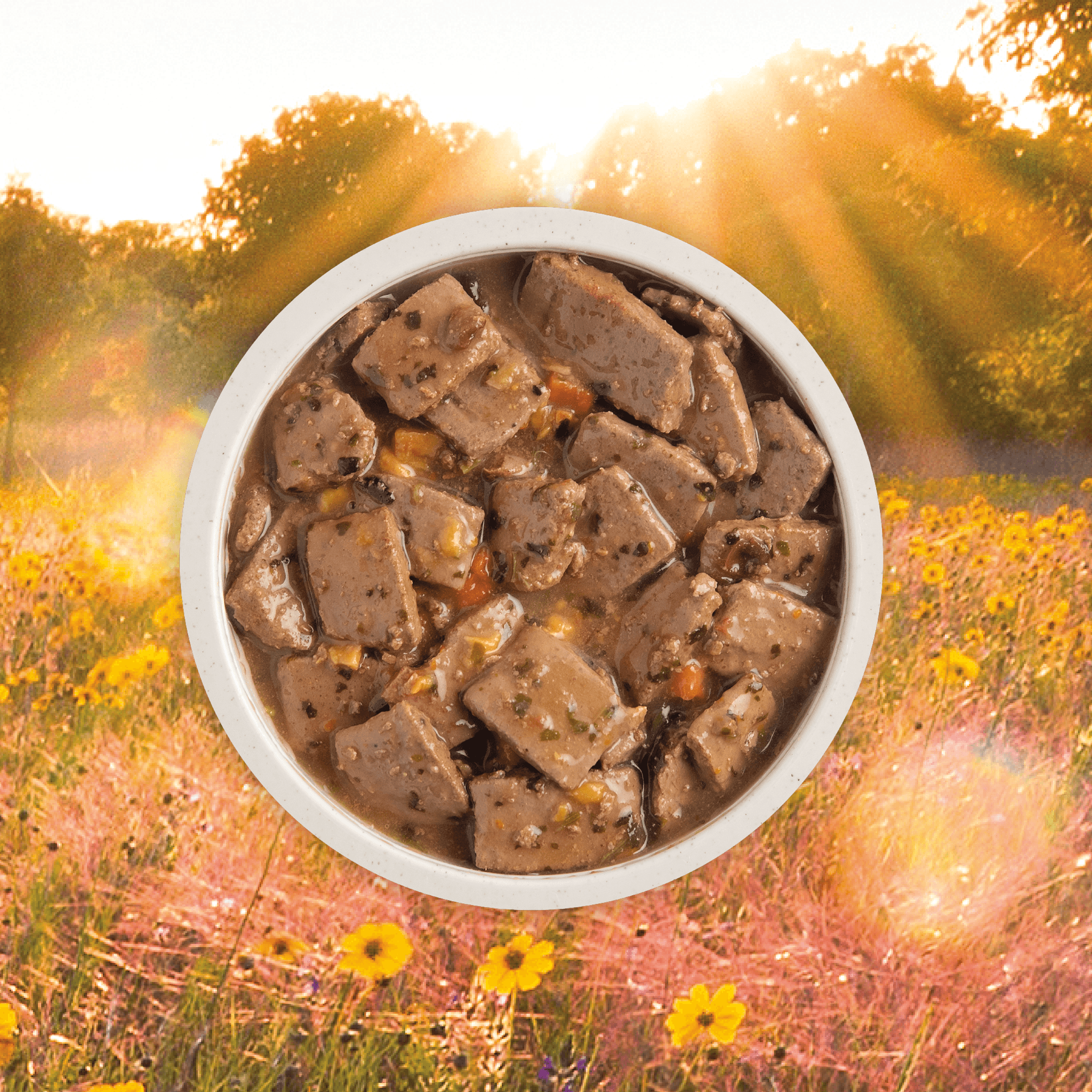 Acana Wet Dog Food Pork Recipe In Bone Broth - 363g - Canned Dog Food - Acana - PetMax Canada