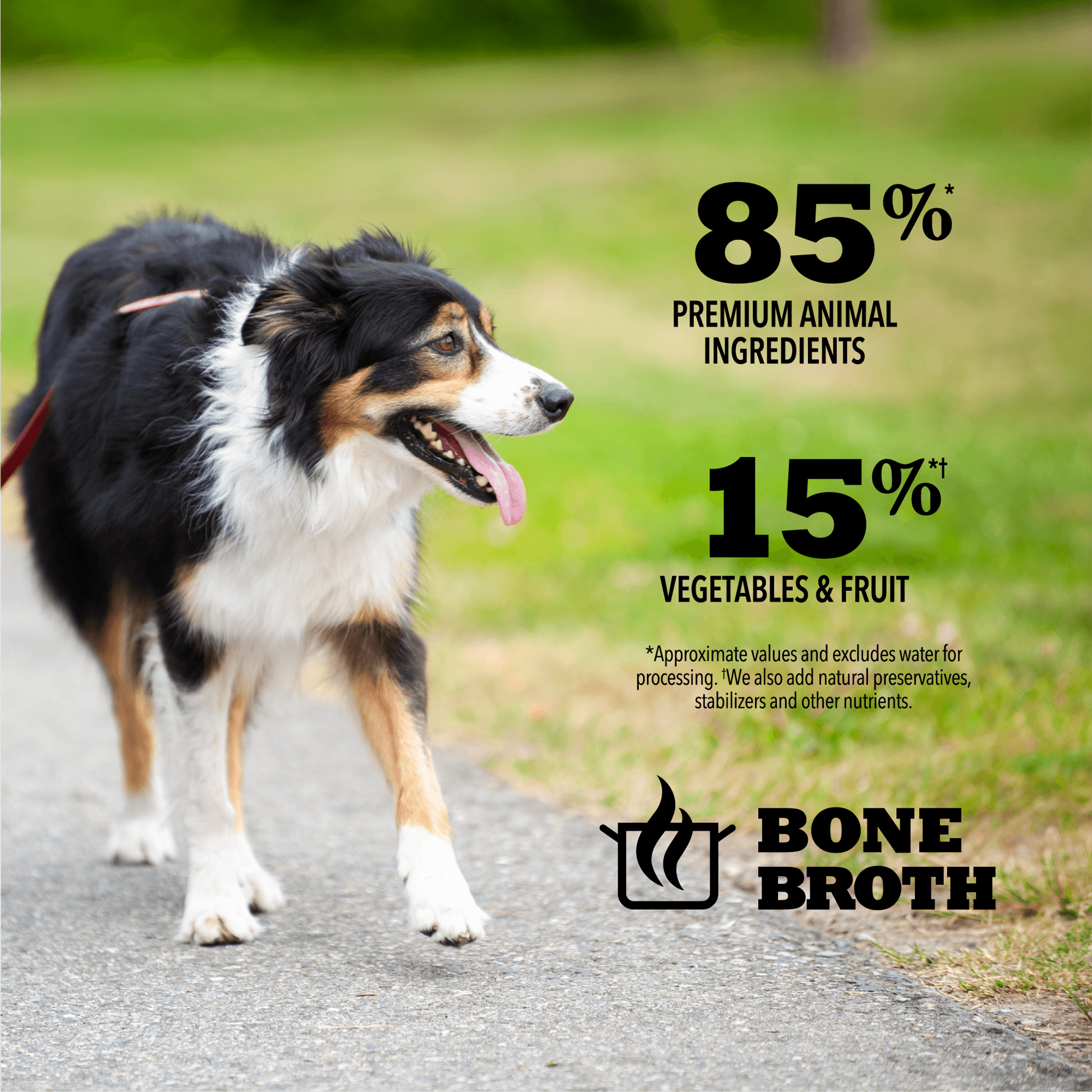 Acana Wet Dog Food Pork Recipe In Bone Broth - 363g - Canned Dog Food - Acana - PetMax Canada