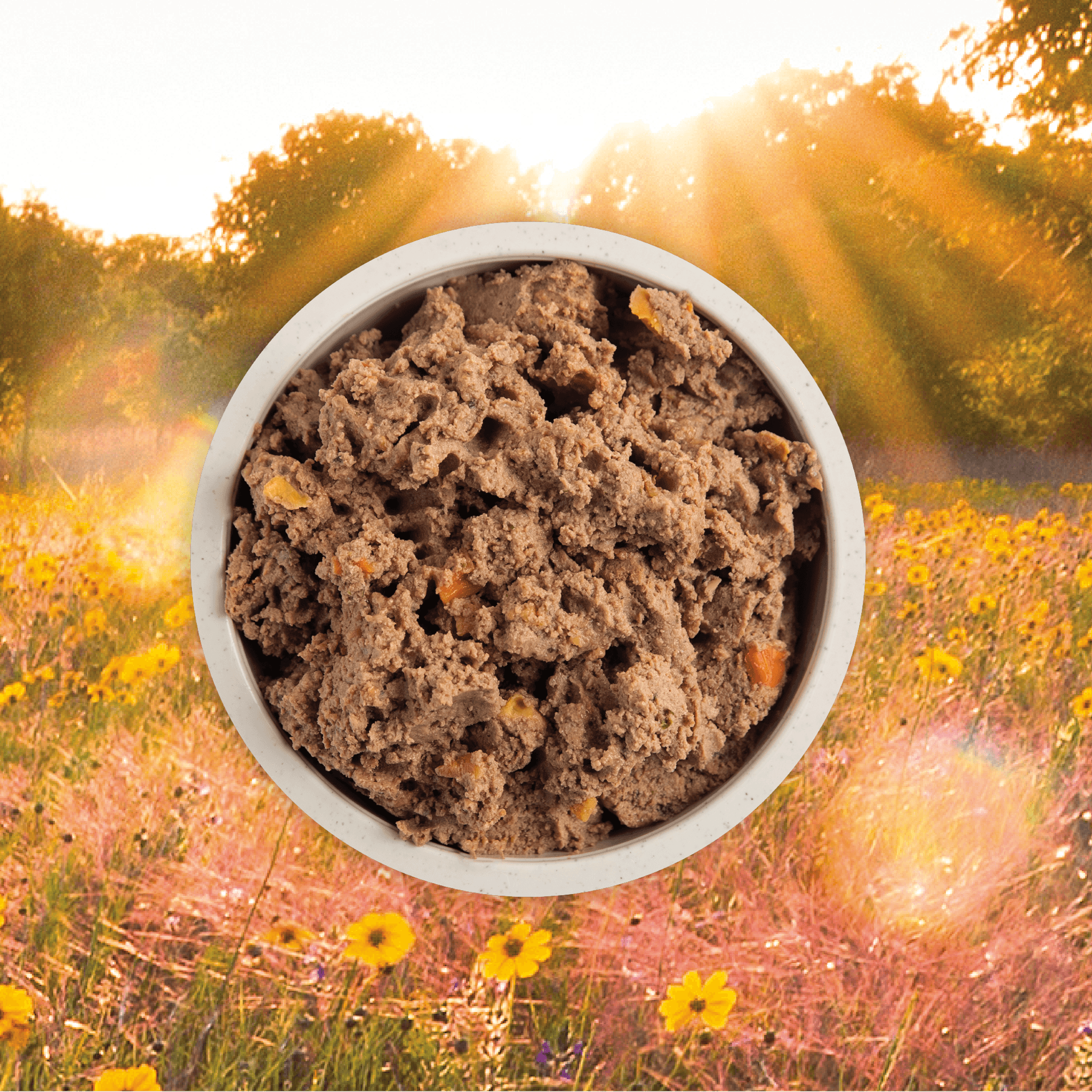 Acana Wet Dog Food Puppy Recipe In Bone Broth - 363g - Canned Dog Food - Acana - PetMax Canada