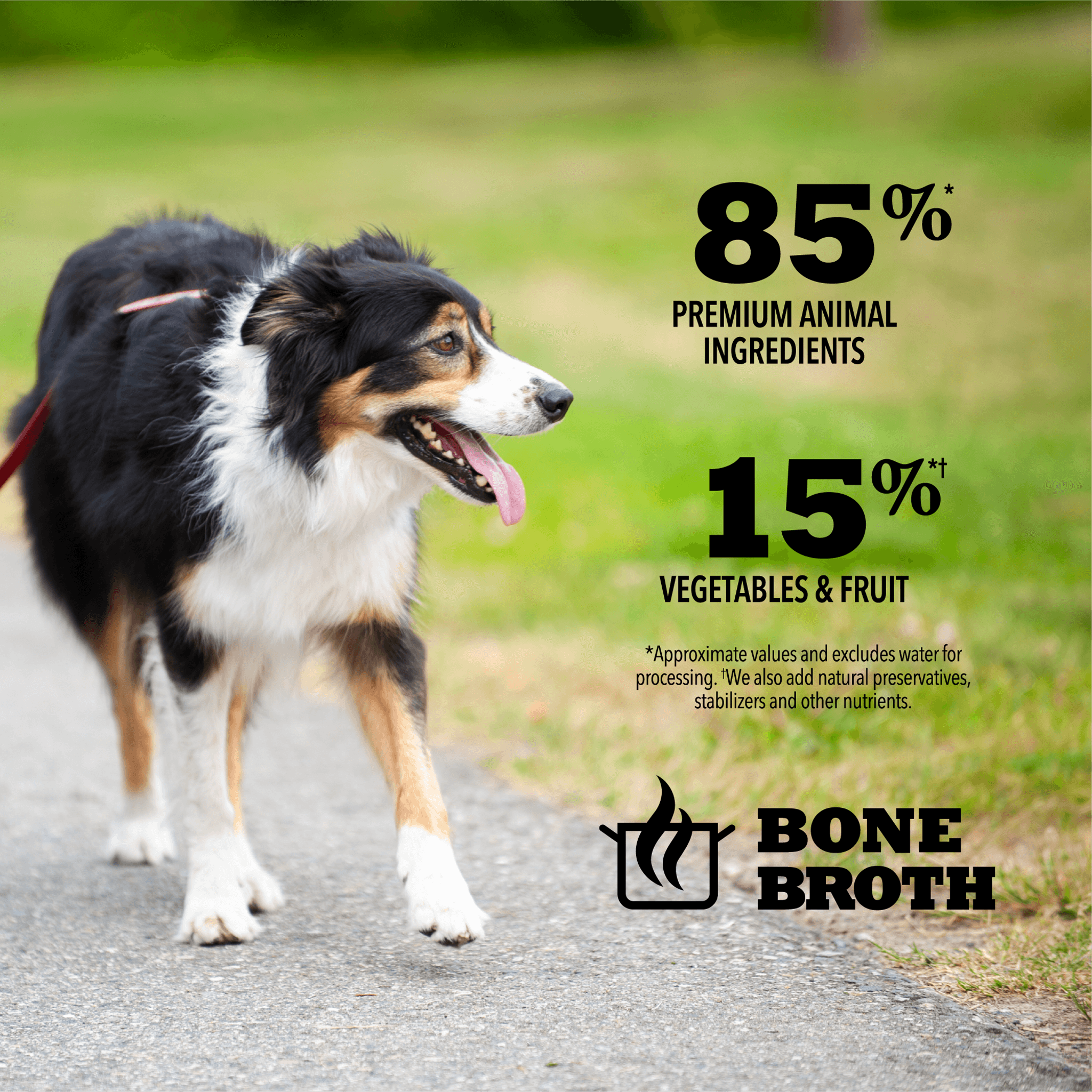 Acana Wet Dog Food Puppy Recipe In Bone Broth - 363g - Canned Dog Food - Acana - PetMax Canada