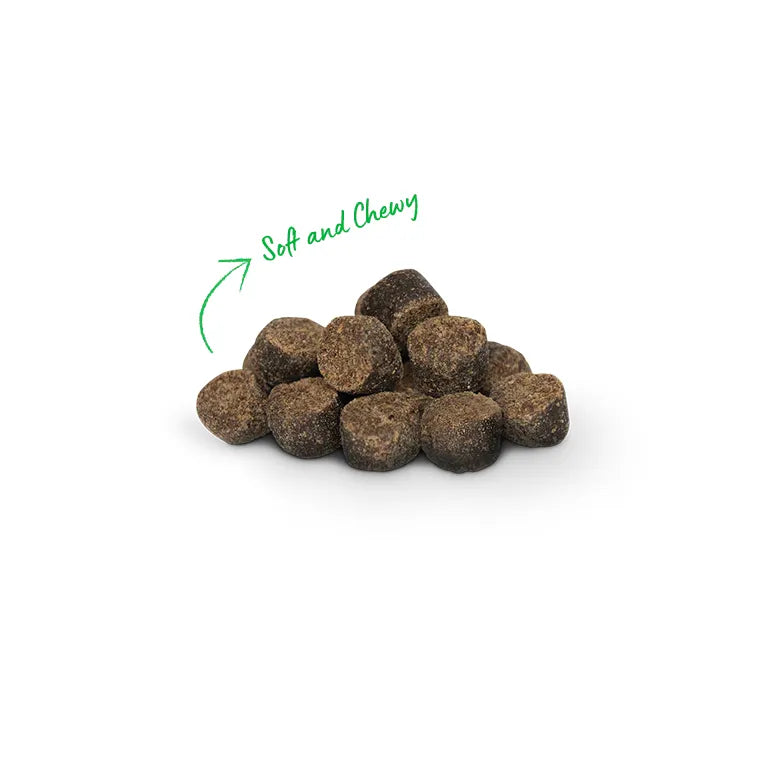 Open Farm Be Good Bites Insect & Wholesome Grains Dog Treats Dog Treats | PetMax Canada