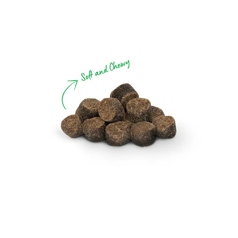 Open Farm Be Good Bites Plant Based Recipe With Pumpkin Dog Treats Dog Treats | PetMax Canada