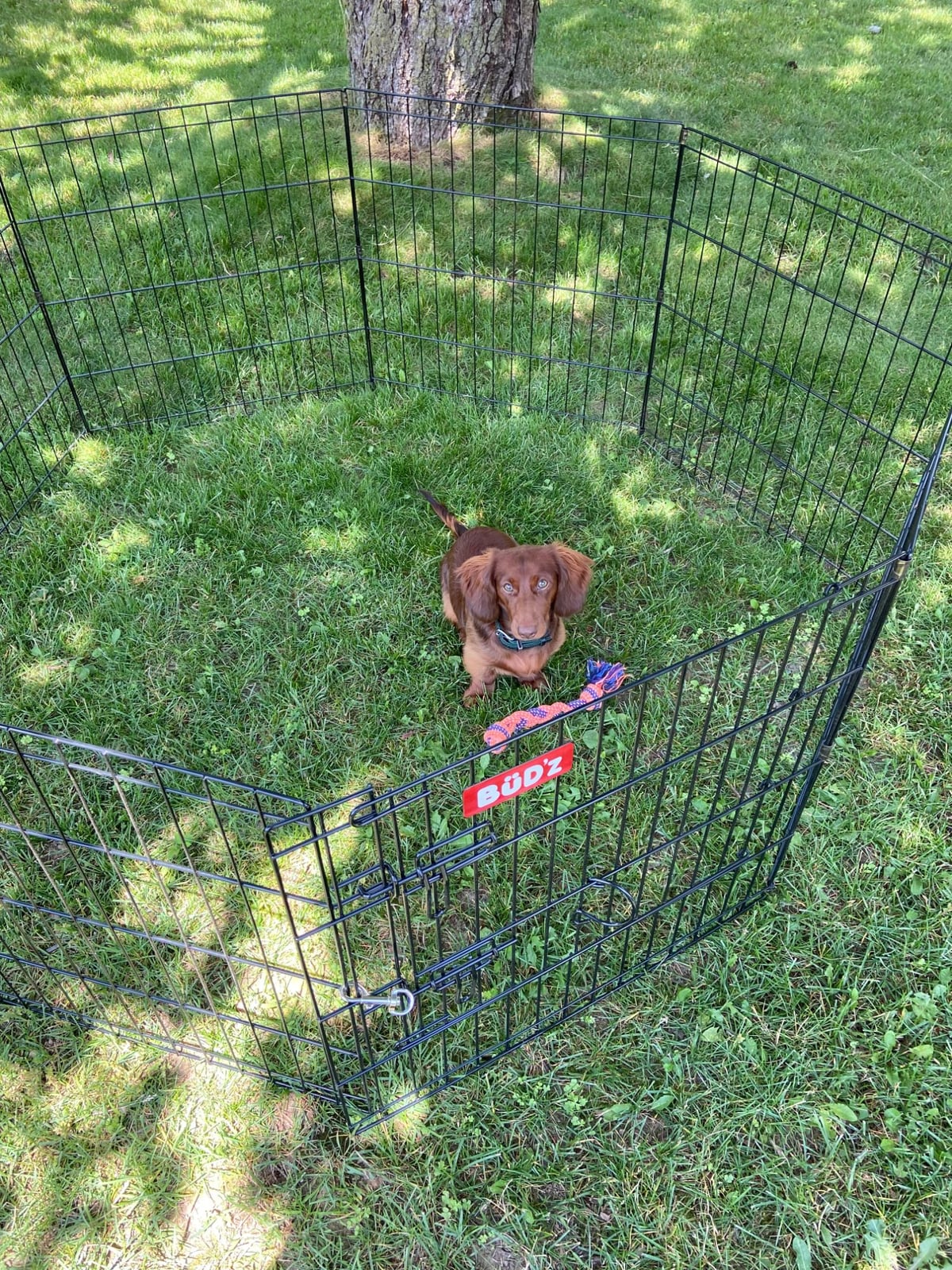 Bud'Z Exercise Dog Pen With Door