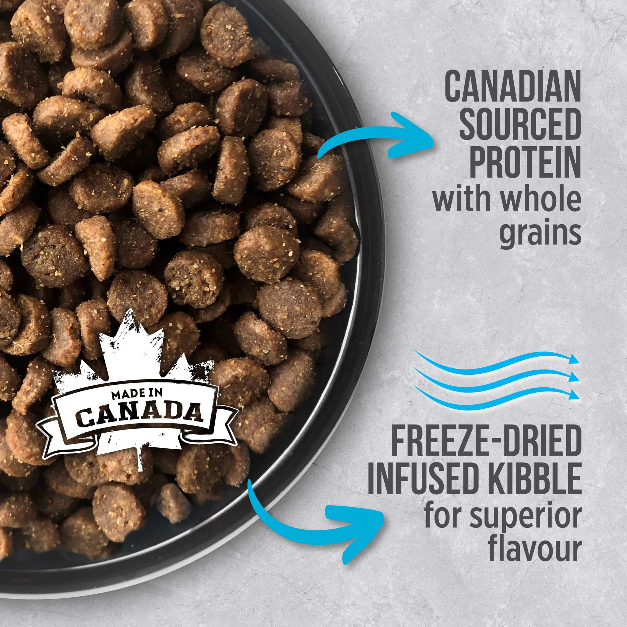 Nutrience Infusion Cat Food Indoor Adult Ocean Fish - 2.27 Kg - Cat Food - Nutrience Pet Food - PetMax Canada