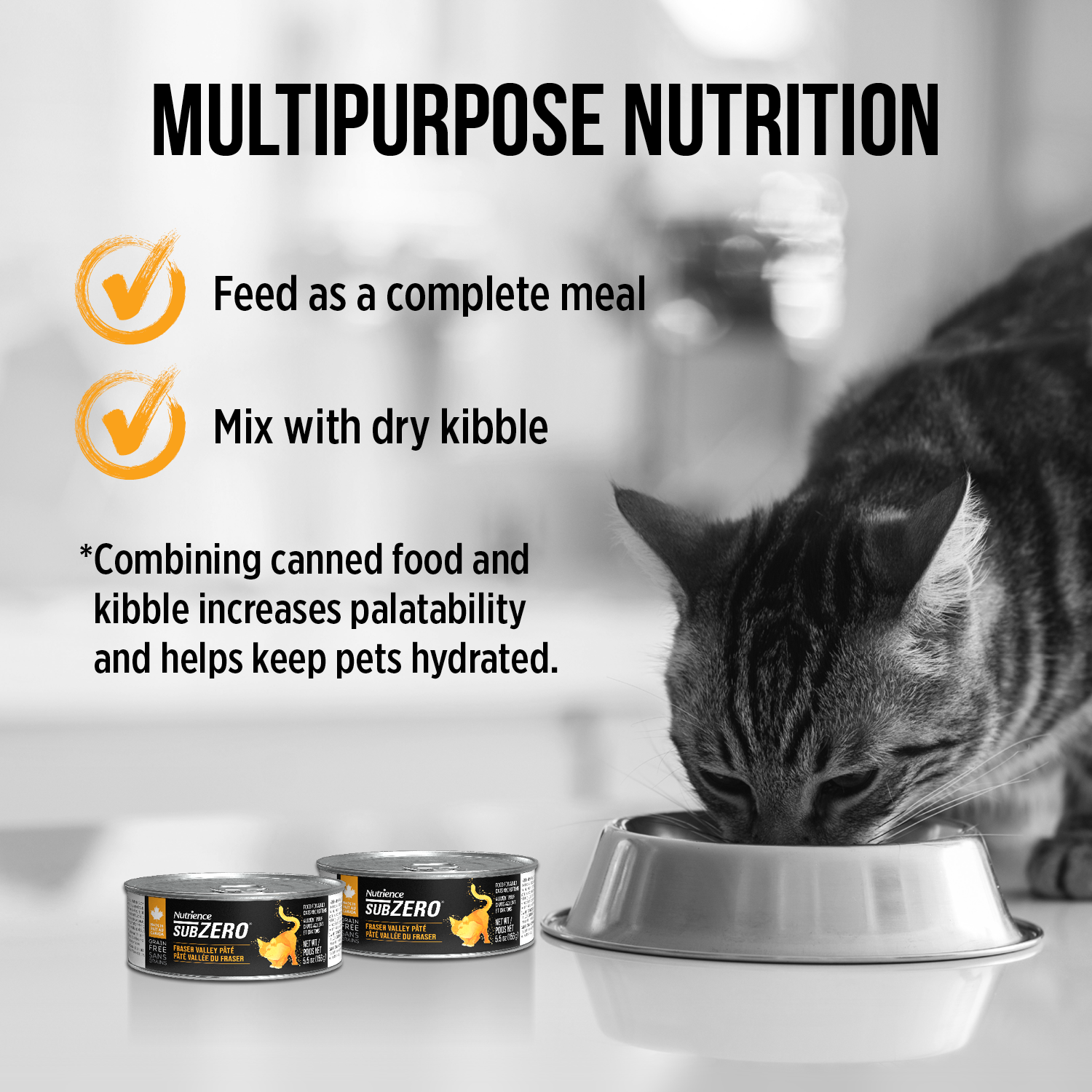 Nutrience Nourriture en conserve pour chats sans grains SubZero Pâté Vallée du Fraser