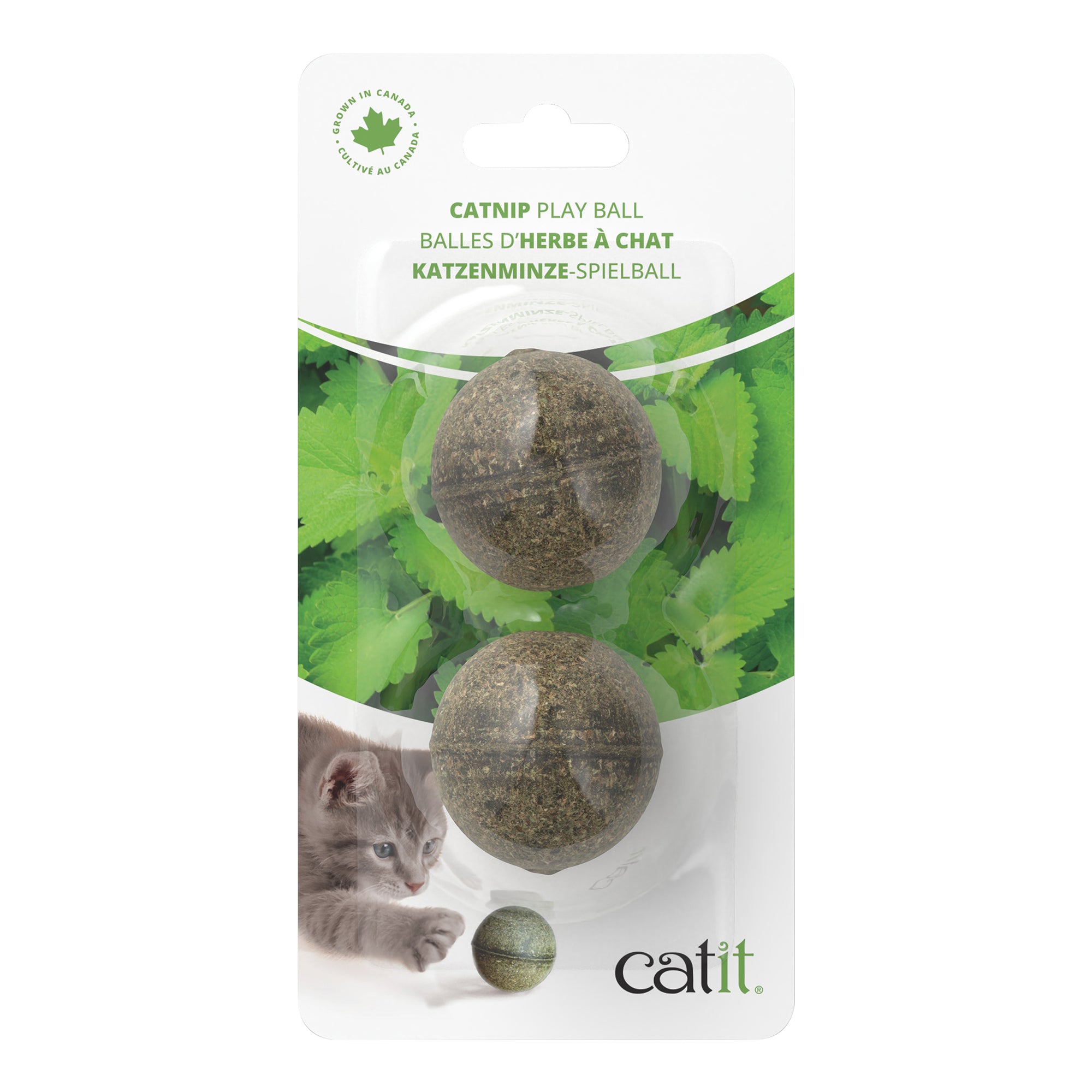 Catit Catnip Play Ball
