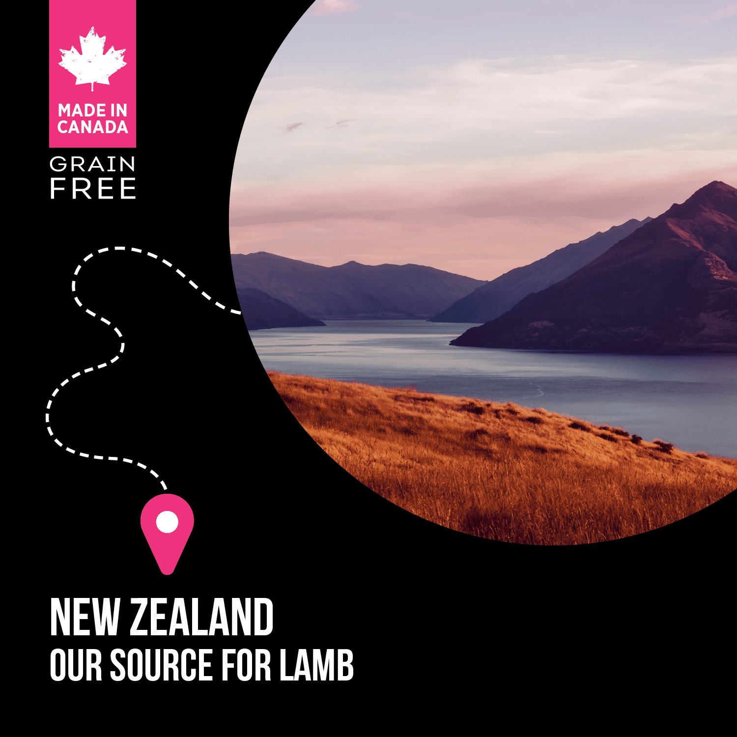 Nutrience SubZero Lamb & Pumpkin Limited Ingredient Dog Food - 1.8 Kg - Dog Food - Nutrience Pet Food - PetMax Canada