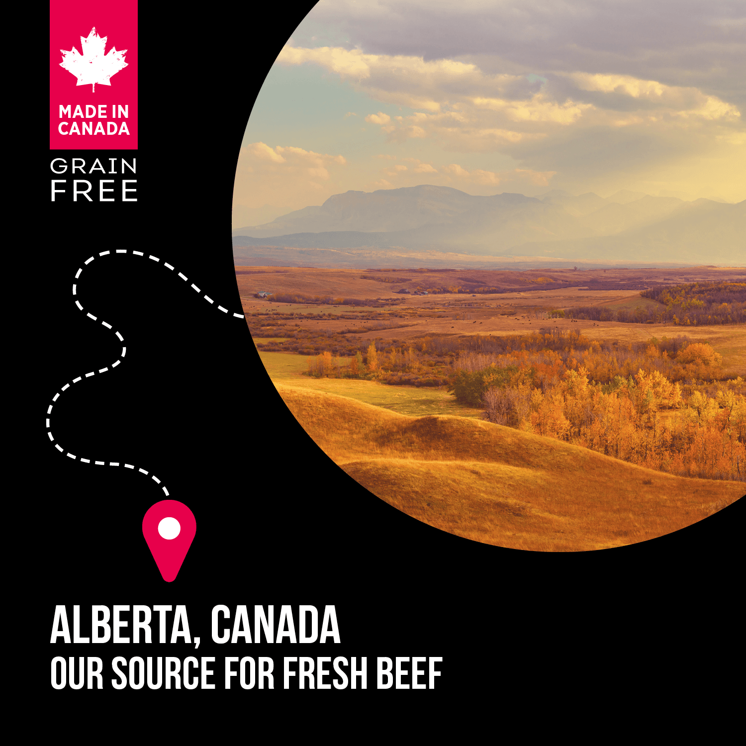 Nutrience Grain Free Dog Food SubZero Small Breed Prairie Red - 2.27 Kg - Dog Food - Nutrience Pet Food - PetMax Canada