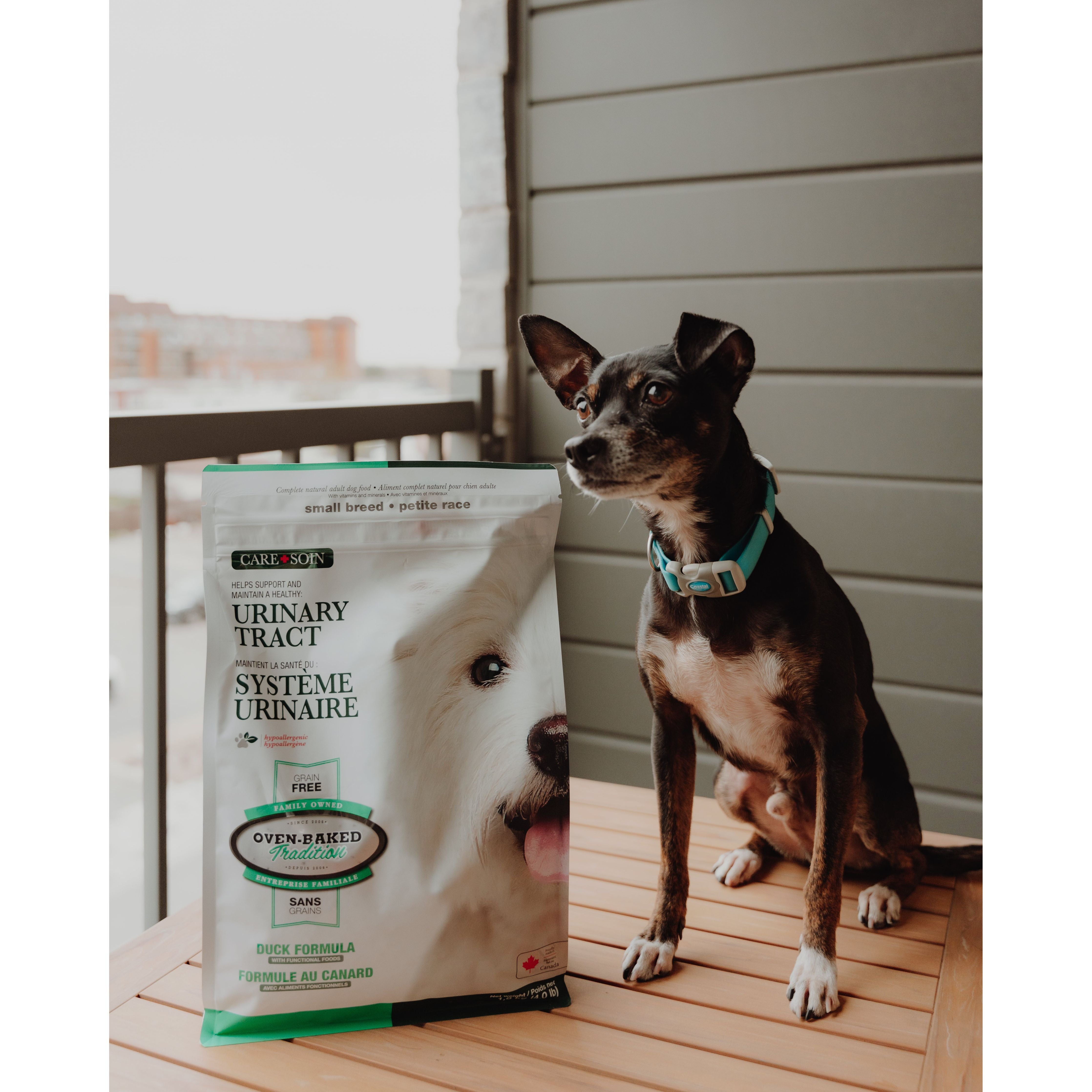 Oven Baked Tradition Urinary Tract Grain Free Dry Food For Small Breed Dogs