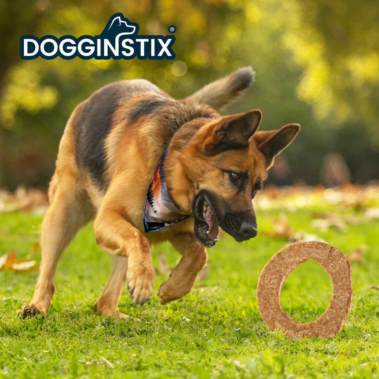 Dogginstix Lamb Collagen Comic Donut