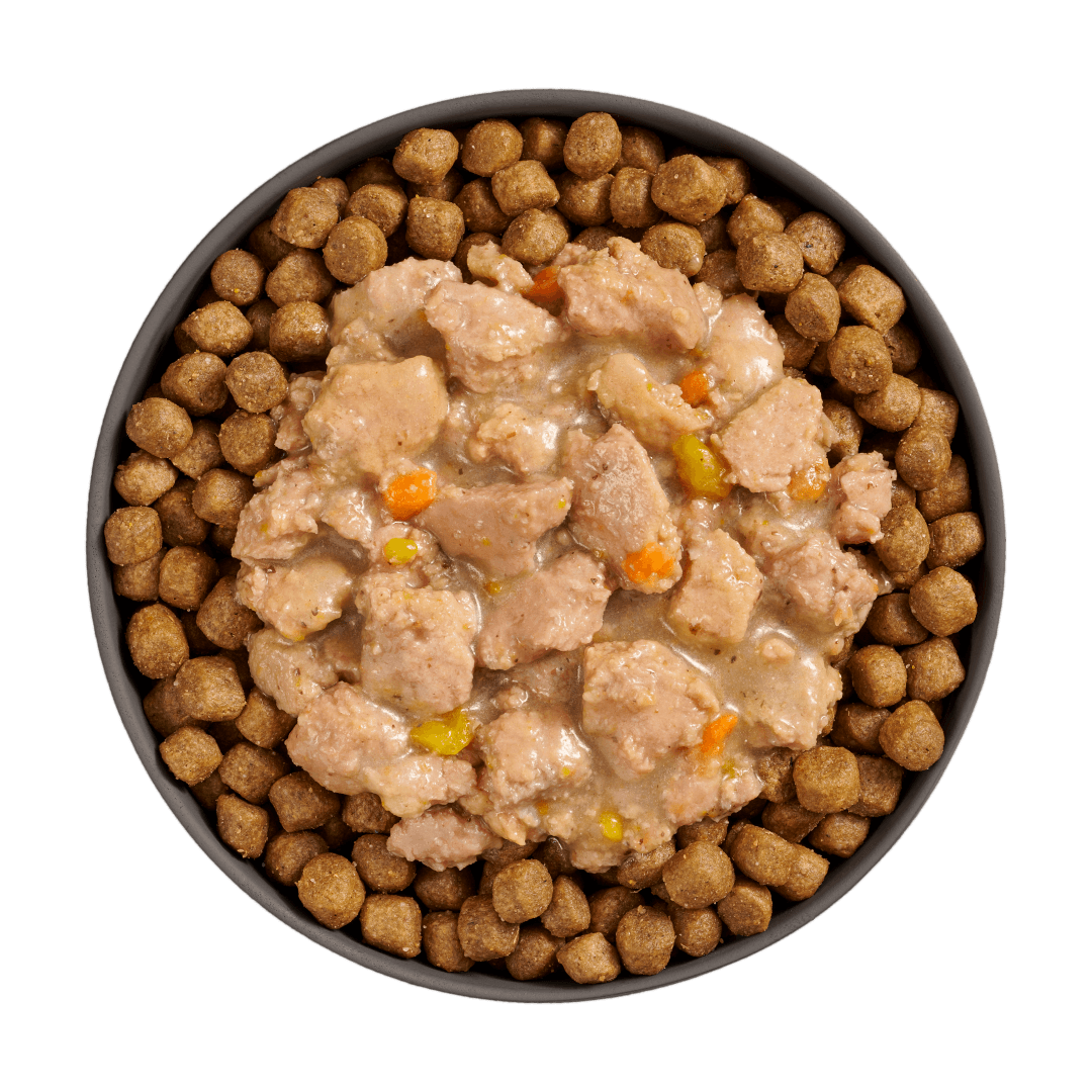 Go! Booster Brain Health Minced Chicken And Salmon With Gravy For Cats - 71g - Canned Cat Food - Go! - PetMax Canada