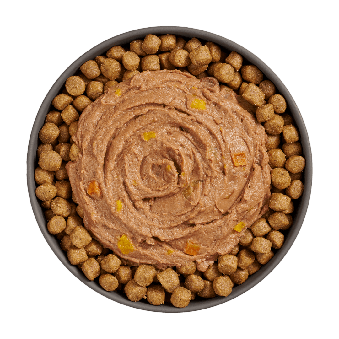 Go! Booster Digestive Health Tuna And Salmon Pate For Cats - 71g - Canned Cat Food - Go! - PetMax Canada