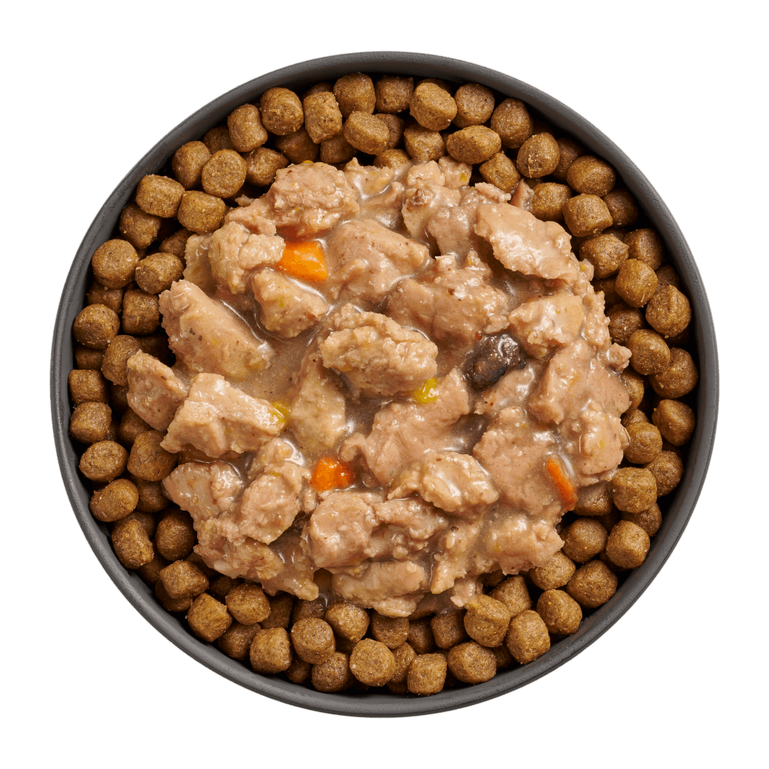 Go! Booster Immune Health Minced Chicken And Salmon With Gravy For Cats - 71g - Canned Cat Food - Go! - PetMax Canada