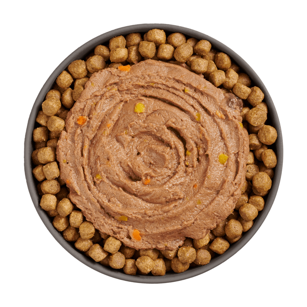 Go! Booster Immune Health Tuna Pate For Cats - 71g - Canned Cat Food - Go! - PetMax Canada