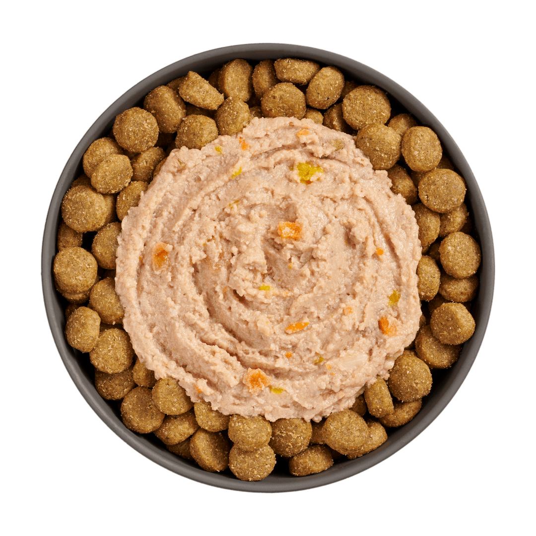 Go! Booster Digestive Health Chicken And Duck Pate Meal Topper For Dogs - 79g - Canned Dog Food - Go! - PetMax Canada