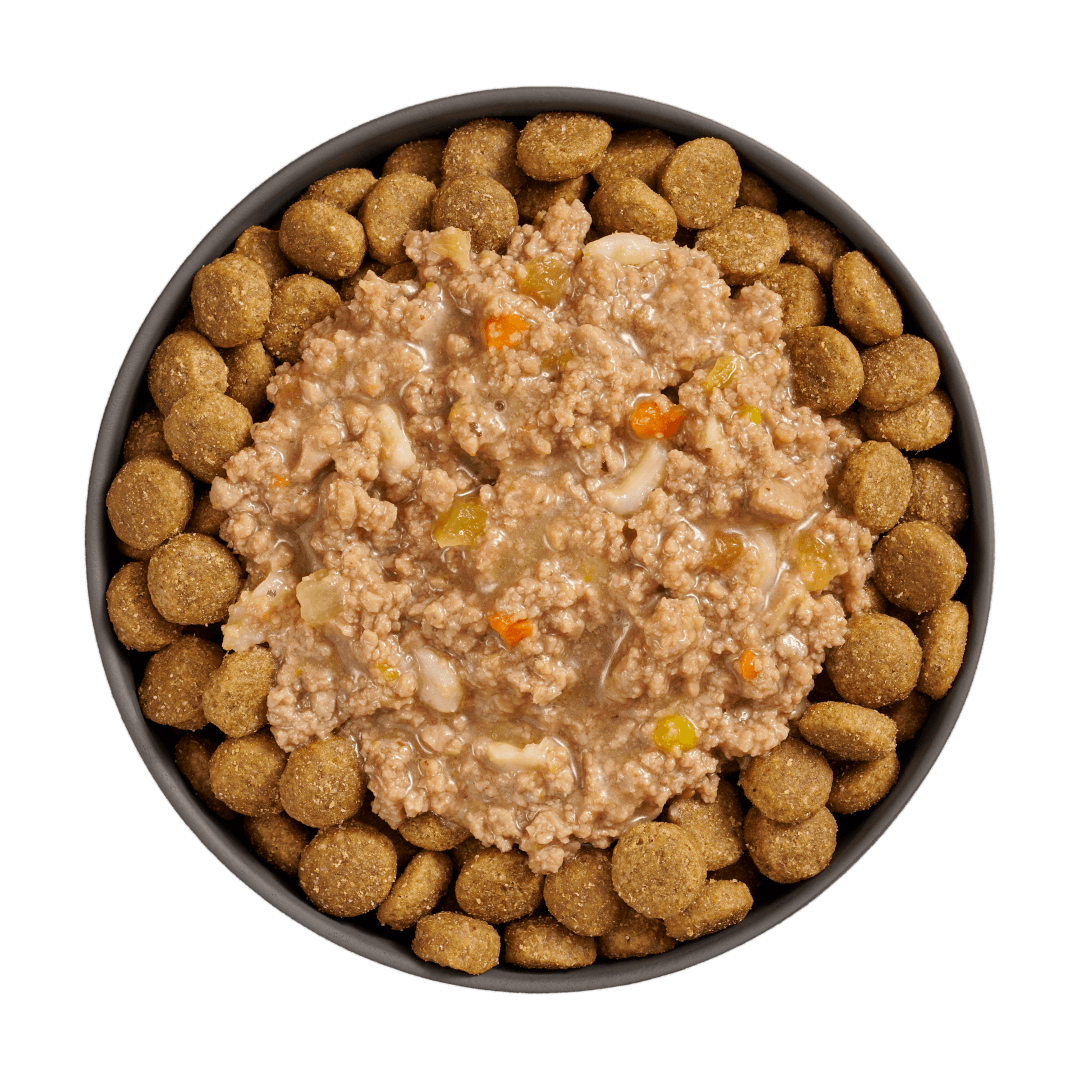 Go! Booster Digestive Health Chicken And Lamb Stew Meal Topper For Dogs - 79g - Canned Dog Food - Go! - PetMax Canada