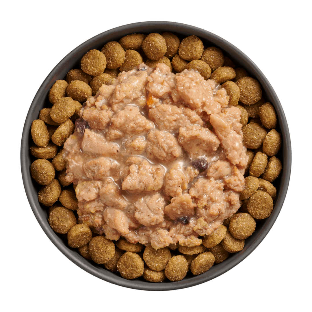 Go! Booster Immune Health Minced Chicken With Gravy Meal Topper For Dogs - 79g - Canned Dog Food - Go! - PetMax Canada