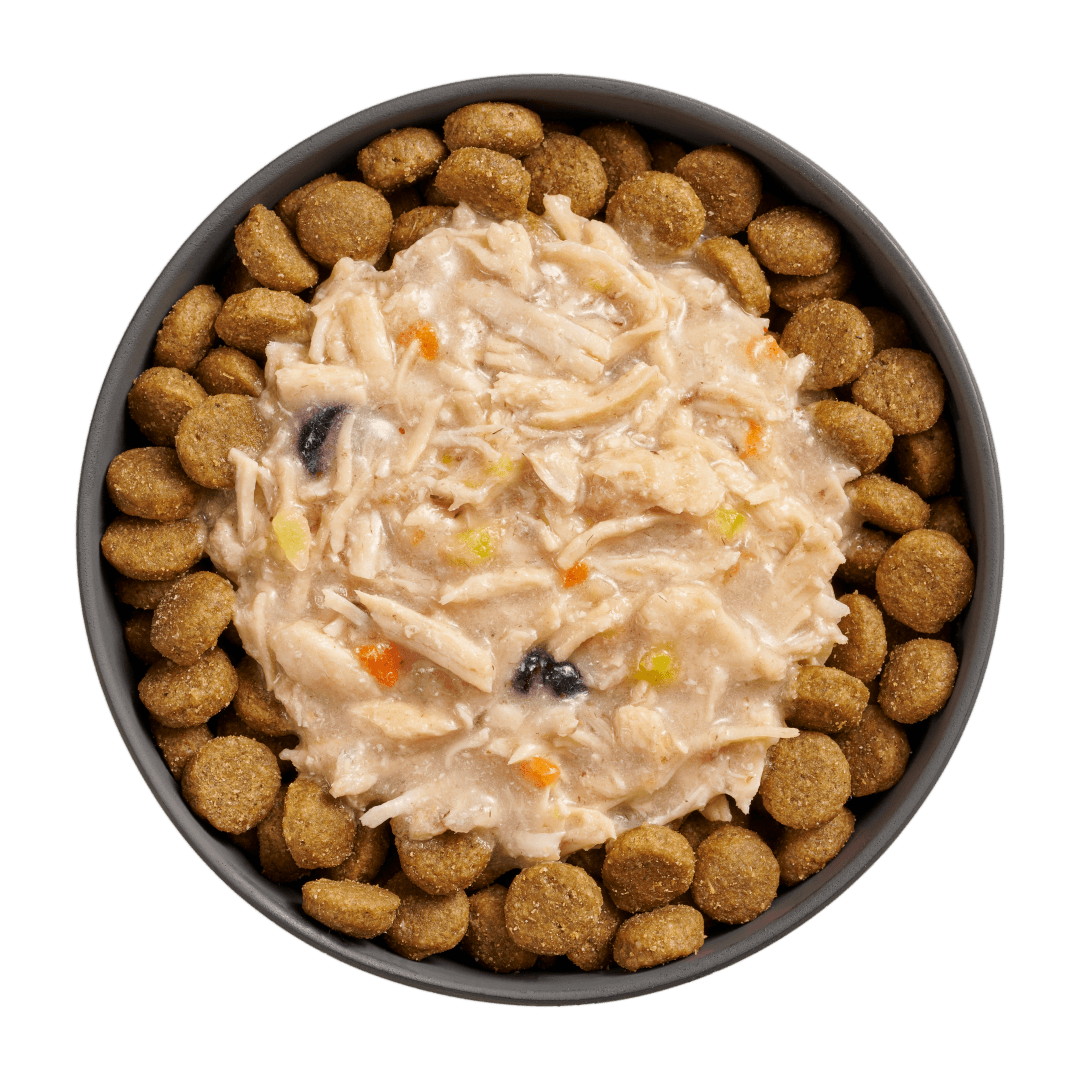 Go! Booster Immune Health Shredded Chicken And Salmon In Broth Meal Topper For Dogs - 79g - Canned Dog Food - Go! - PetMax Canada