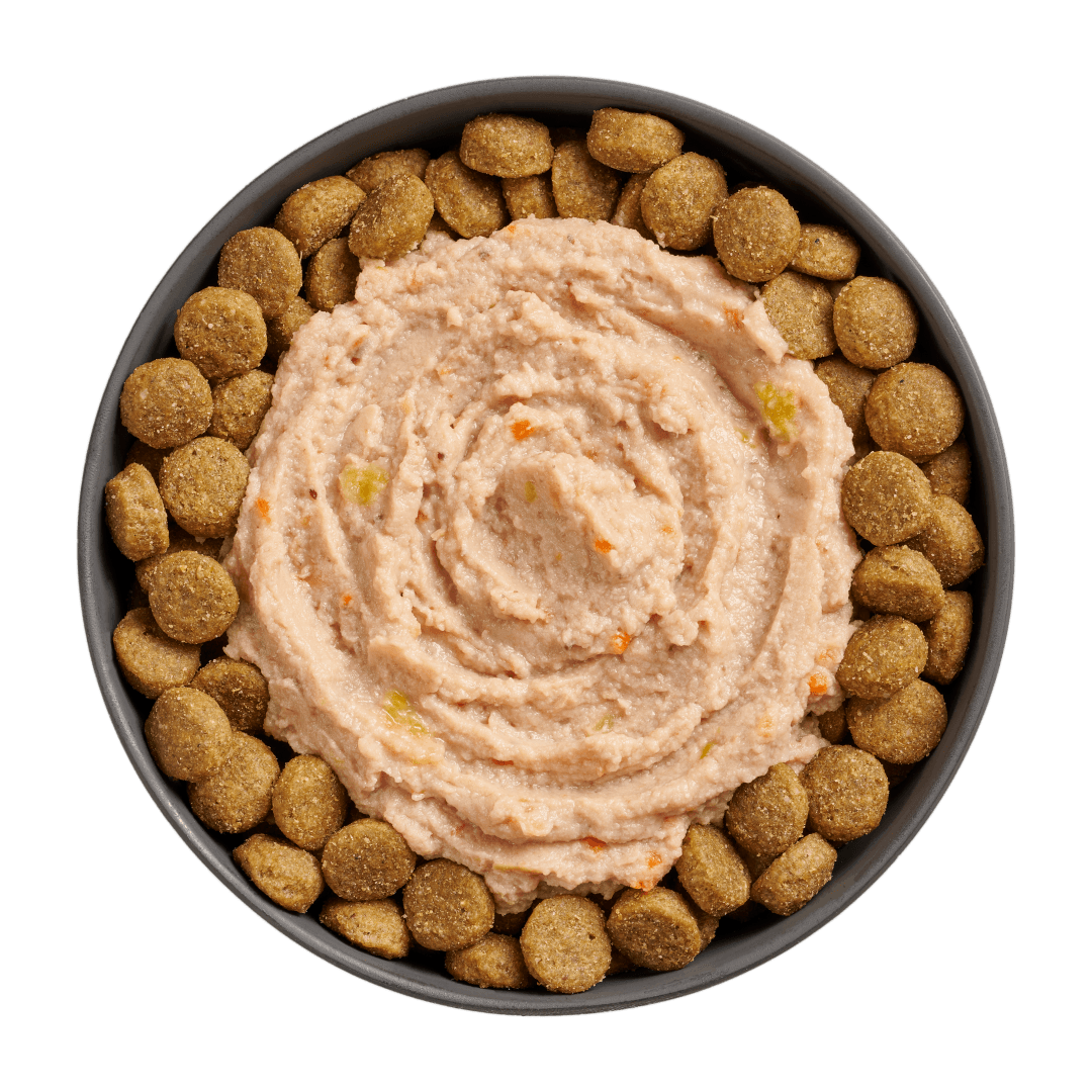 Go! Booster Joint Care Chicken, Salmon And Duck Pate Meal Topper For Dogs - 79g - Canned Dog Food - Go! - PetMax Canada