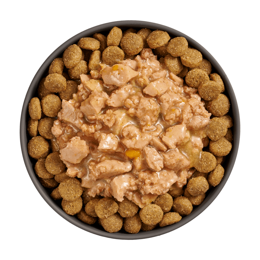 Go! Booster Joint Care Minced Chicken With Gravy Meal Topper For Dogs - 79g - Canned Dog Food - Go! - PetMax Canada