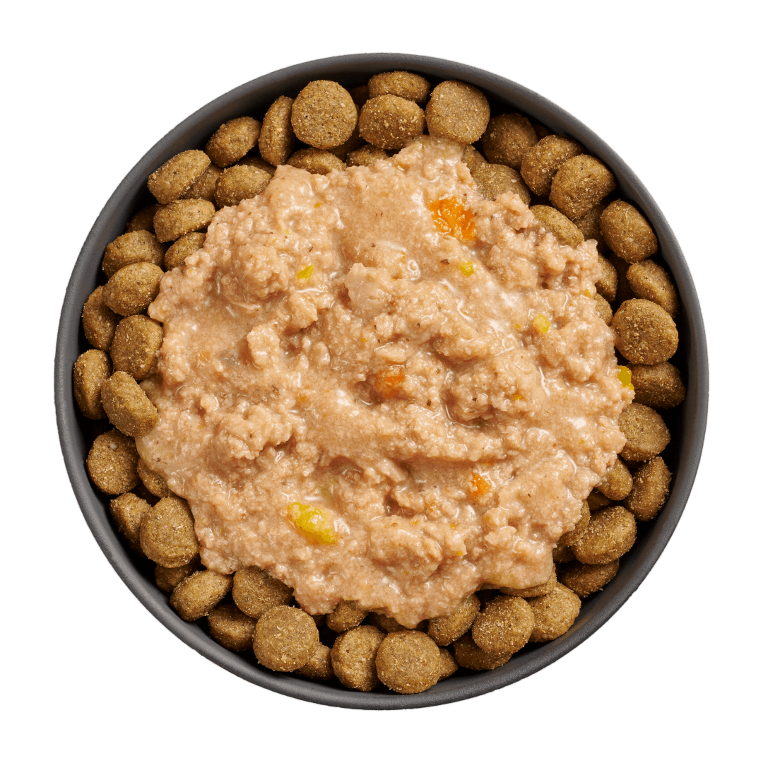 Go! Booster Tranquility Chicken, Salmon And Duck Stew Meal Topper For Dogs - 79g - Canned Dog Food - Go! - PetMax Canada