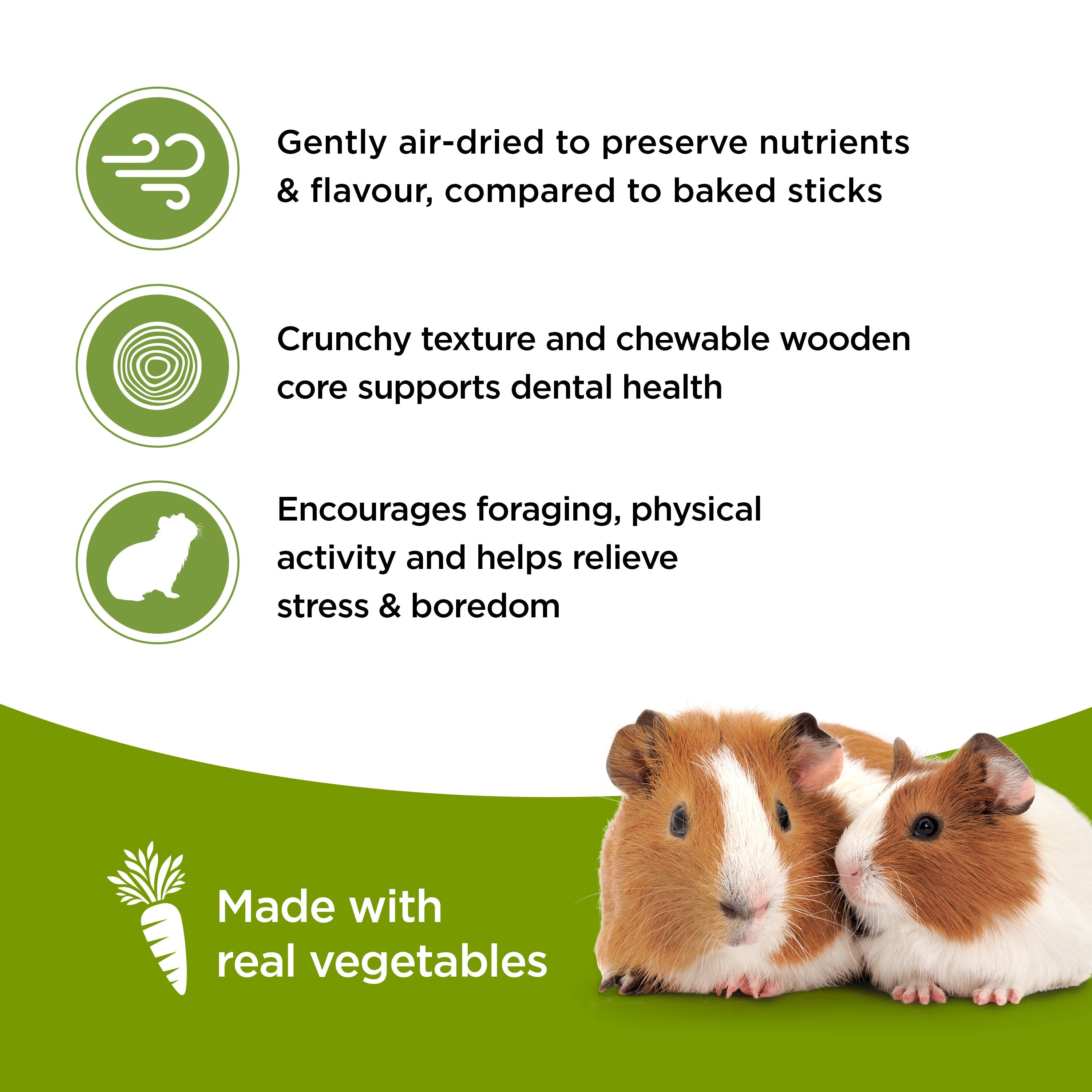 Living World Guinea Pig Veggie Patch Treat Sticks
