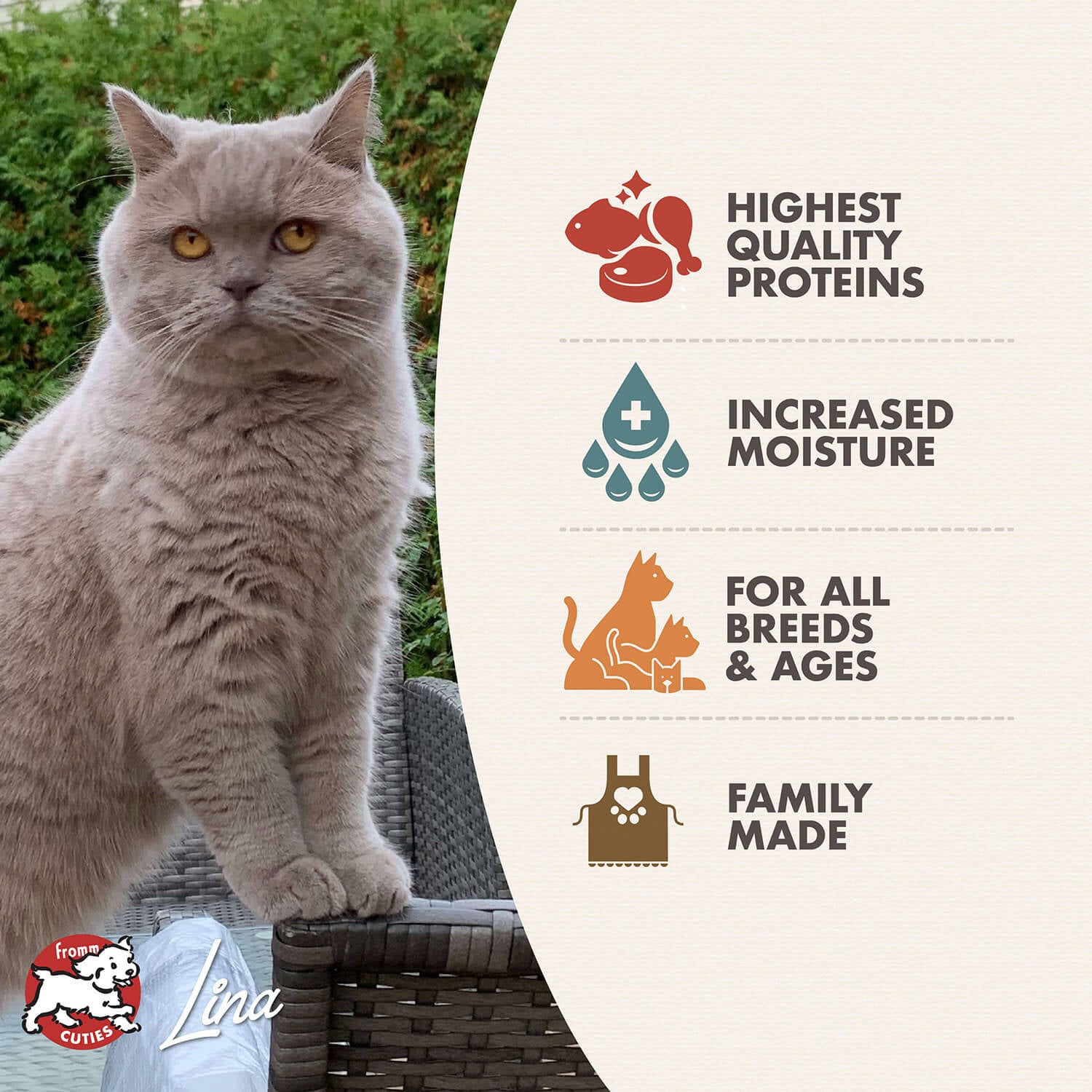 Fromm Gold Adult Chicken, Duck, & Salmon Pate Wet Cat Food