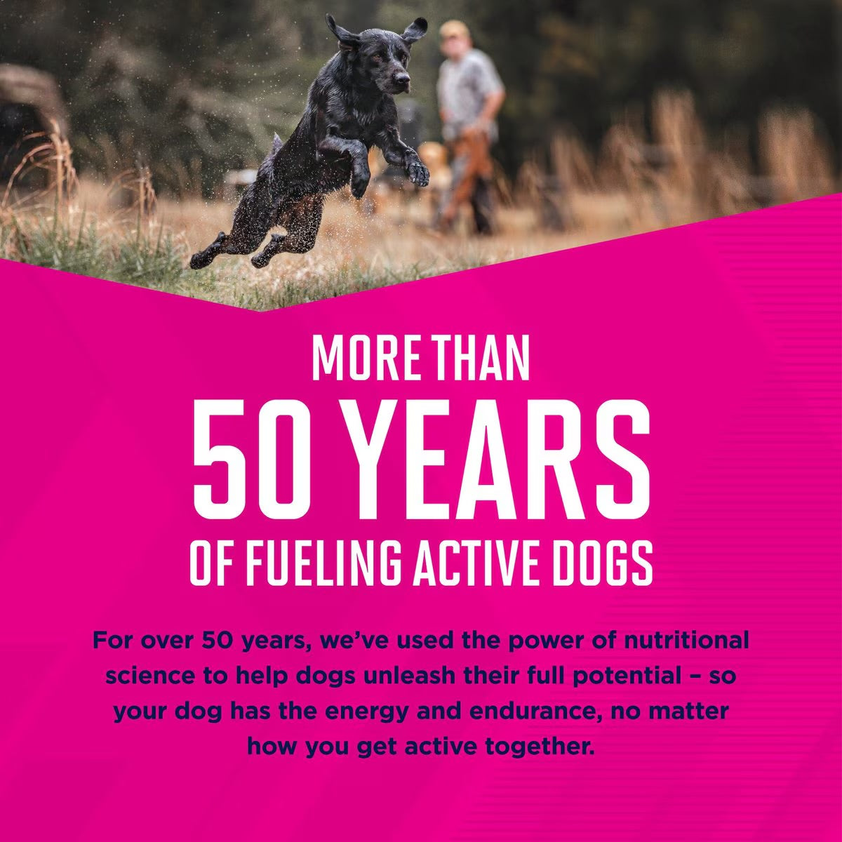 Eukanuba Adult Mixed Grill Chicken & Beef Dinner in Gravy Canned Dog Food