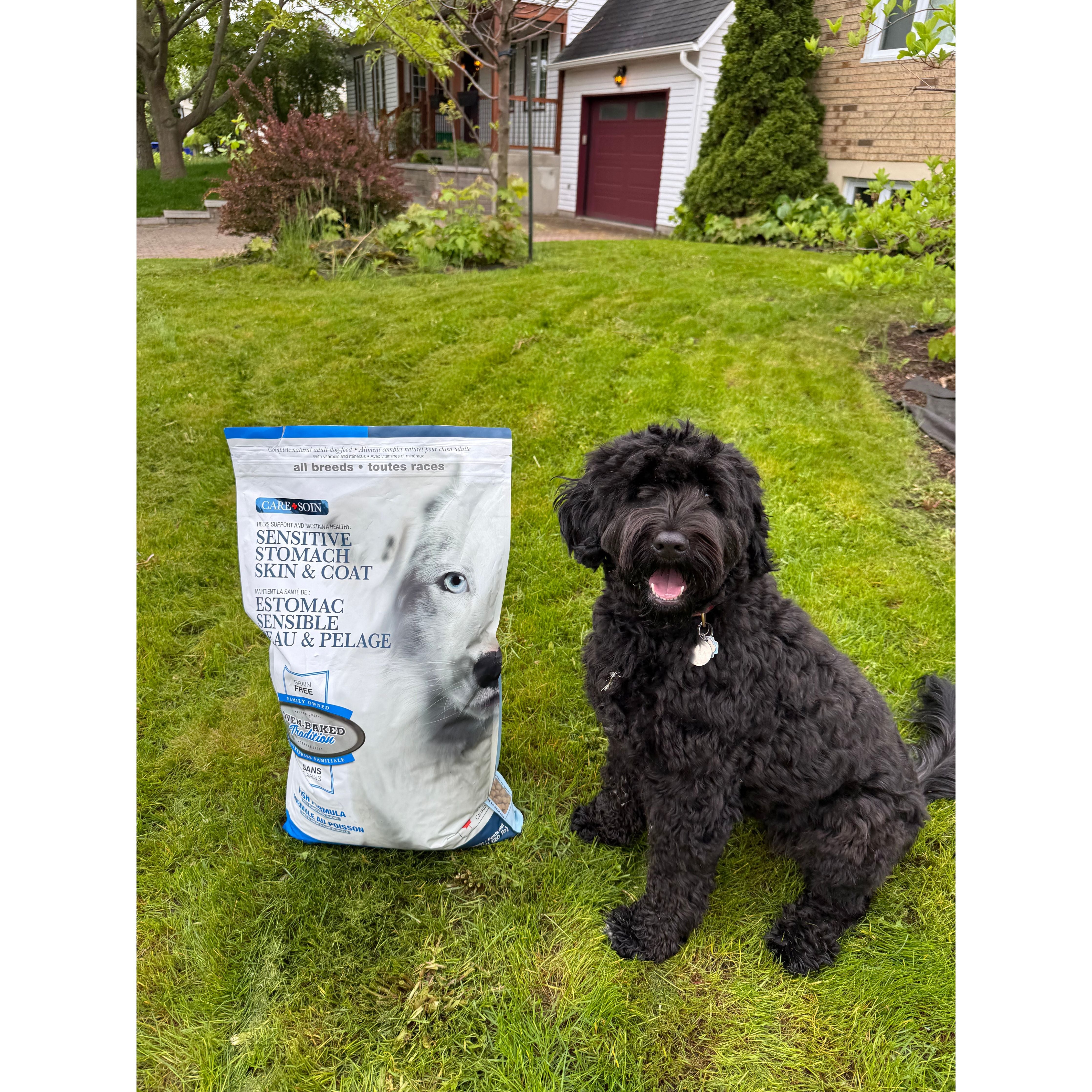 Oven Baked Tradition Sensitive Stomach, Skin, and Coat Dry Food For Adult Dogs