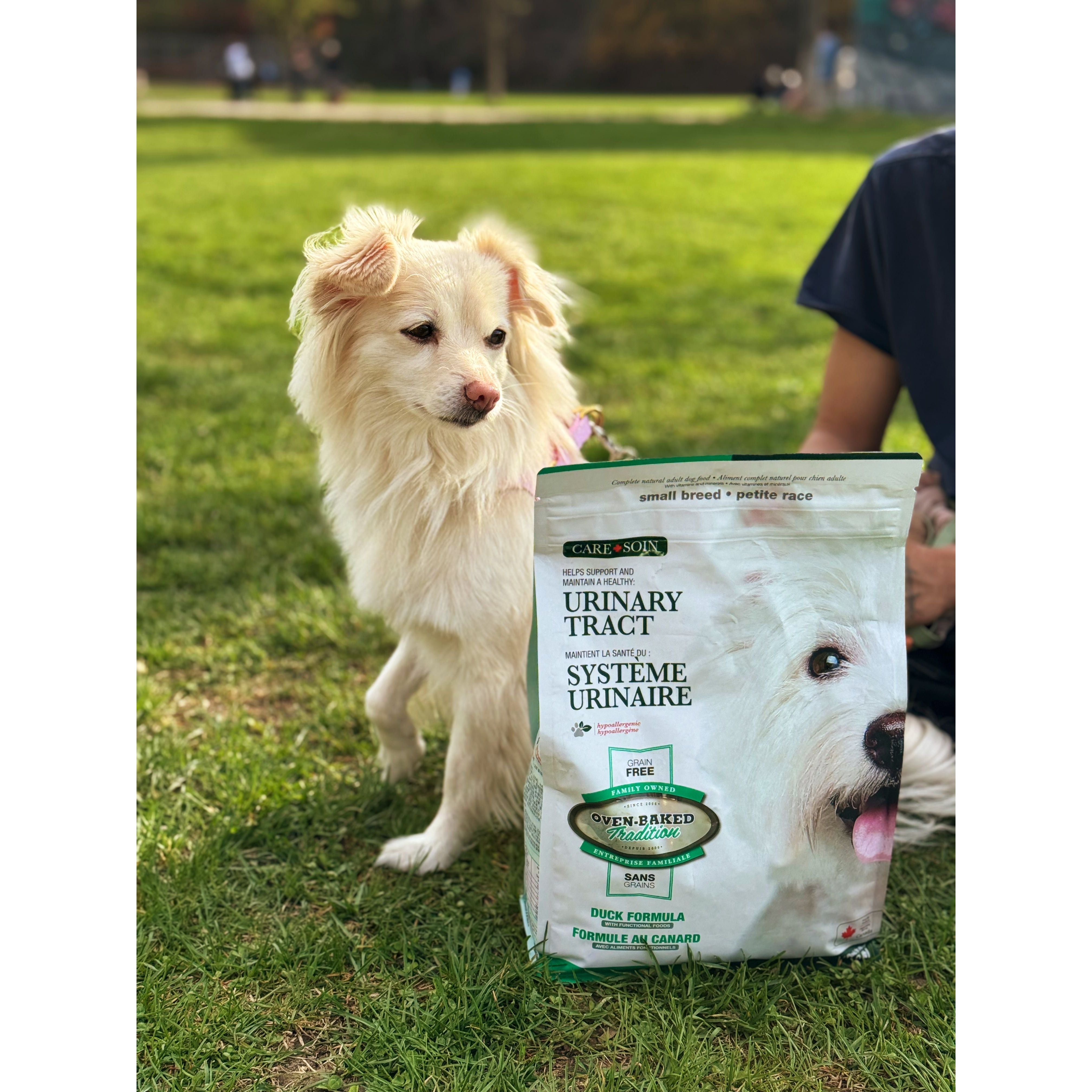 Oven Baked Tradition Urinary Tract Grain Free Dry Food For Small Breed Dogs