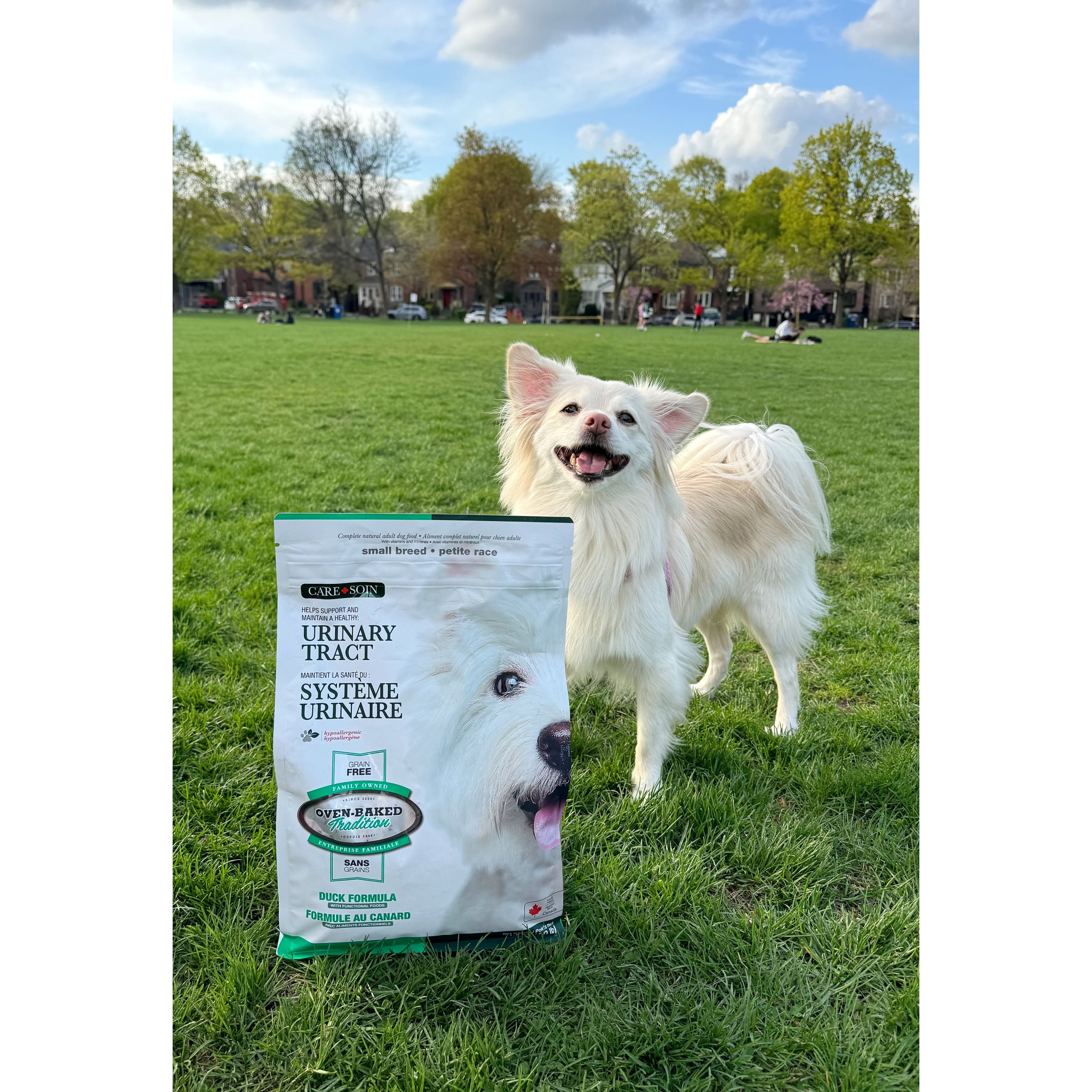 Oven Baked Tradition Urinary Tract Grain Free Dry Food For Small Breed Dogs