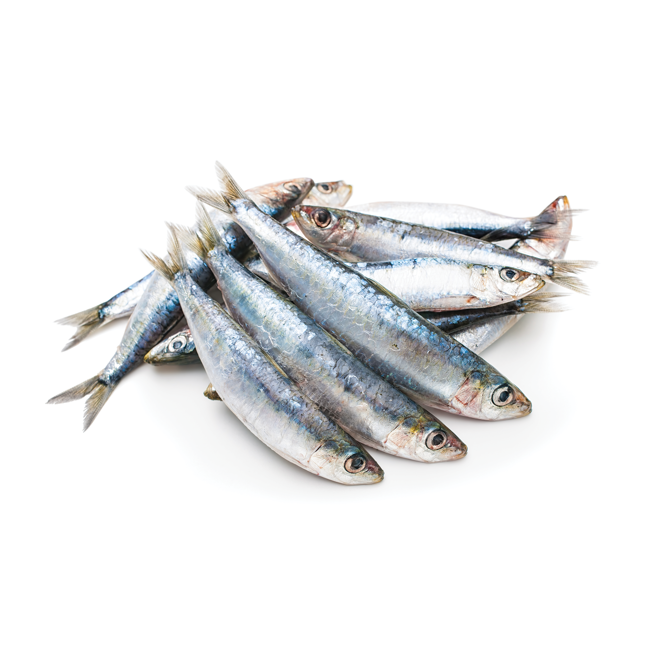 Iron Will Raw Frozen Whole Sardines - Whole Sardines - Iron Will Raw - PetMax Canada