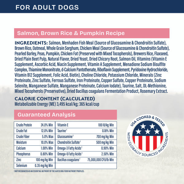 Natural Balance Health Protection Dry Dog Food, Salmon, Brown Rice & Pumpkin Recipe