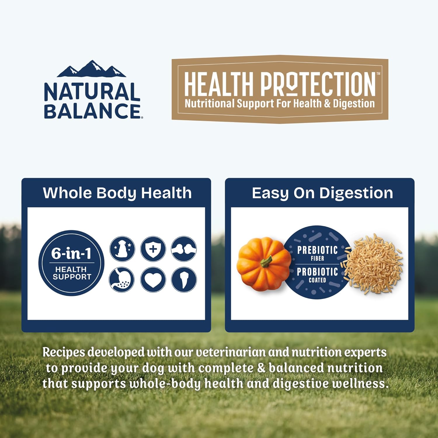 Natural Balance Health Protection Adult Lamb, Brown Rice & Pumpkin Dog Dry Food