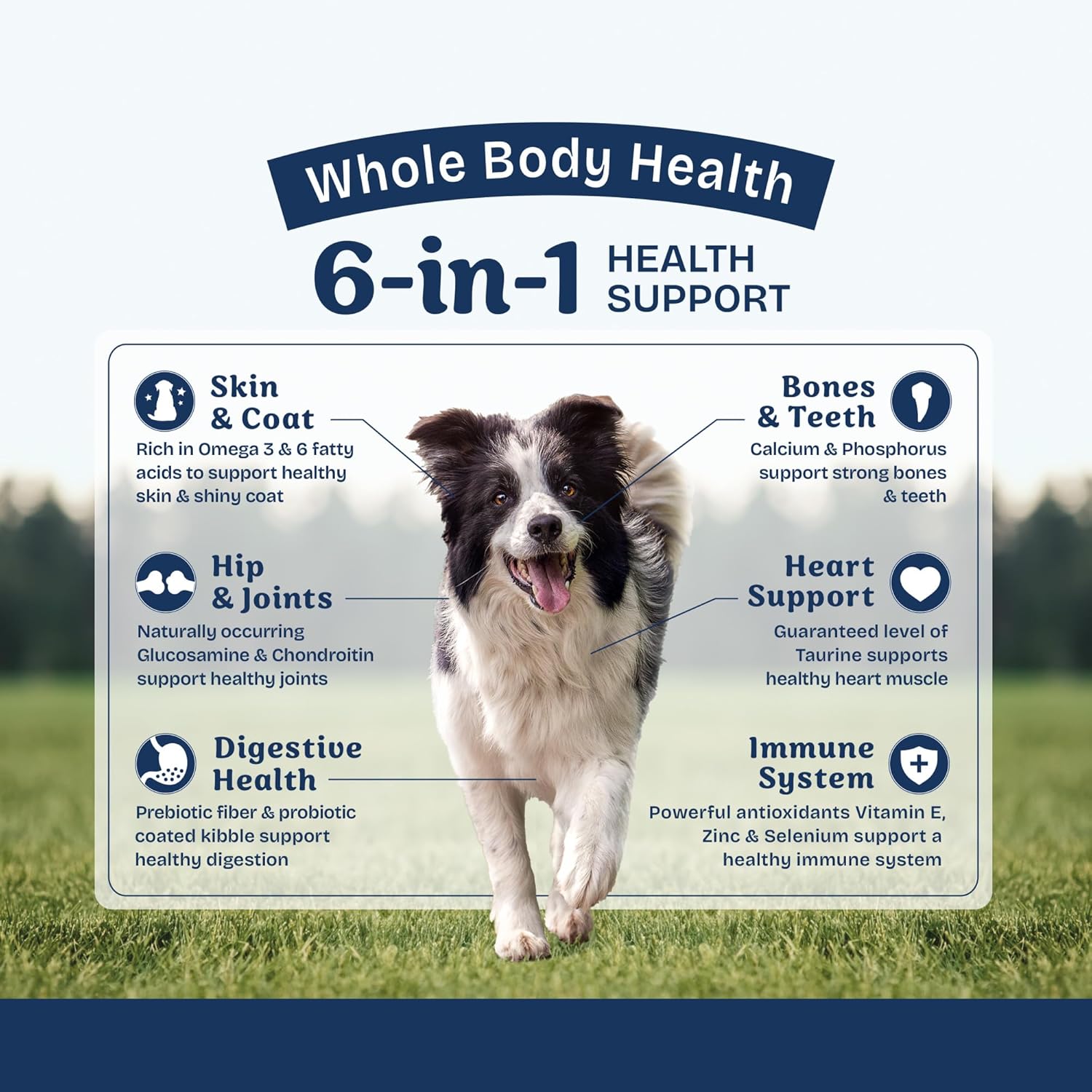 Natural Balance Health Protection Adult Lamb, Brown Rice & Pumpkin Dog Dry Food